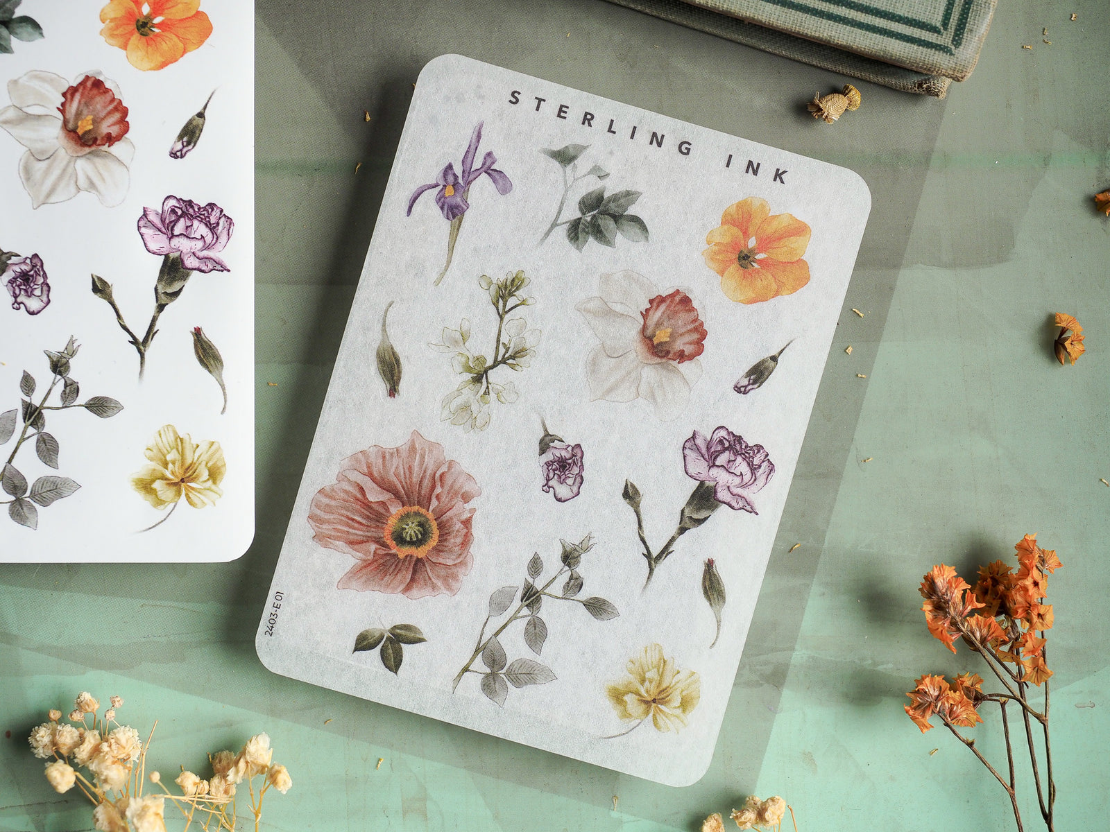 Beautiful sticker sheet collection of detailed, watercolor-painted botanical elements, including delicate irises, roses, and various autumn foliage perfect for journaling.