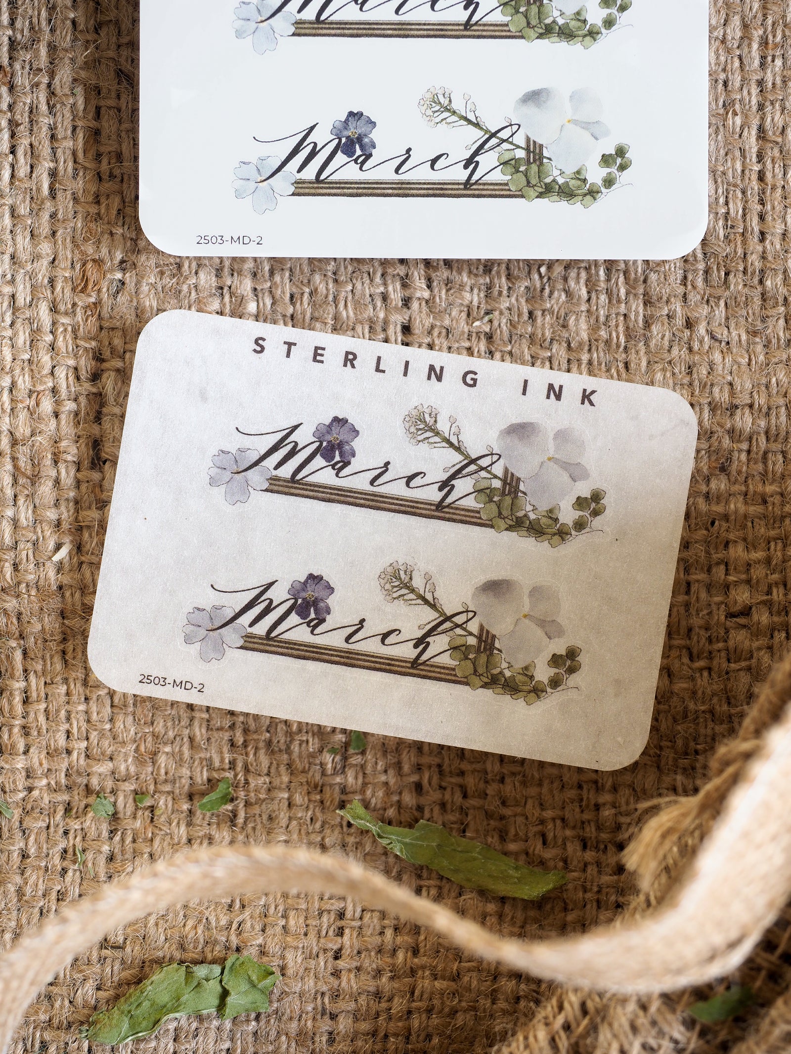 Charming March month sticker set featuring elegant script calligraphy framed by delicate watercolor purple and white spring florals.
