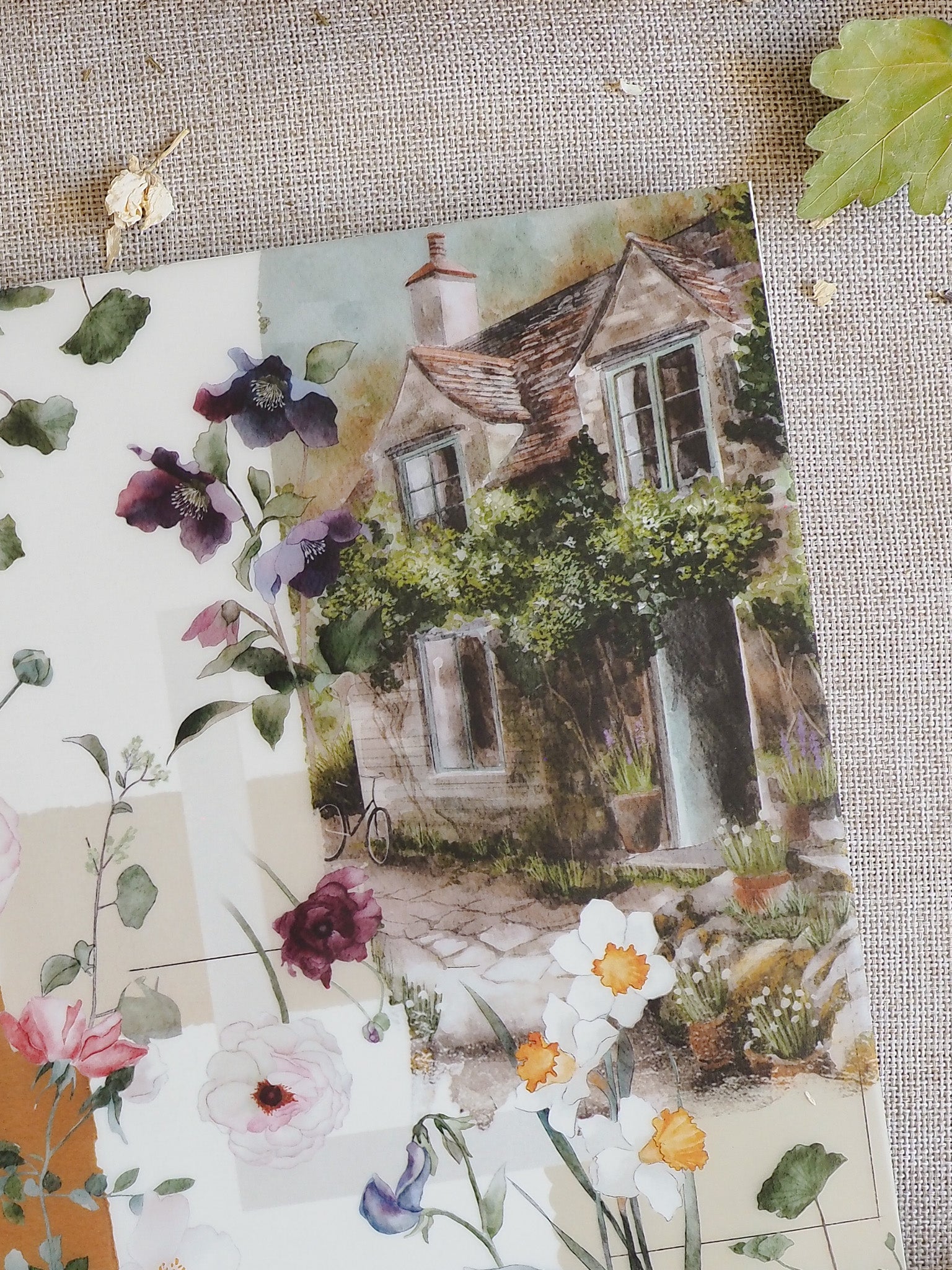 Charming watercolor illustration of a rustic, ivy-covered cottage set among soft pastel spring blossoms and lush green foliage.