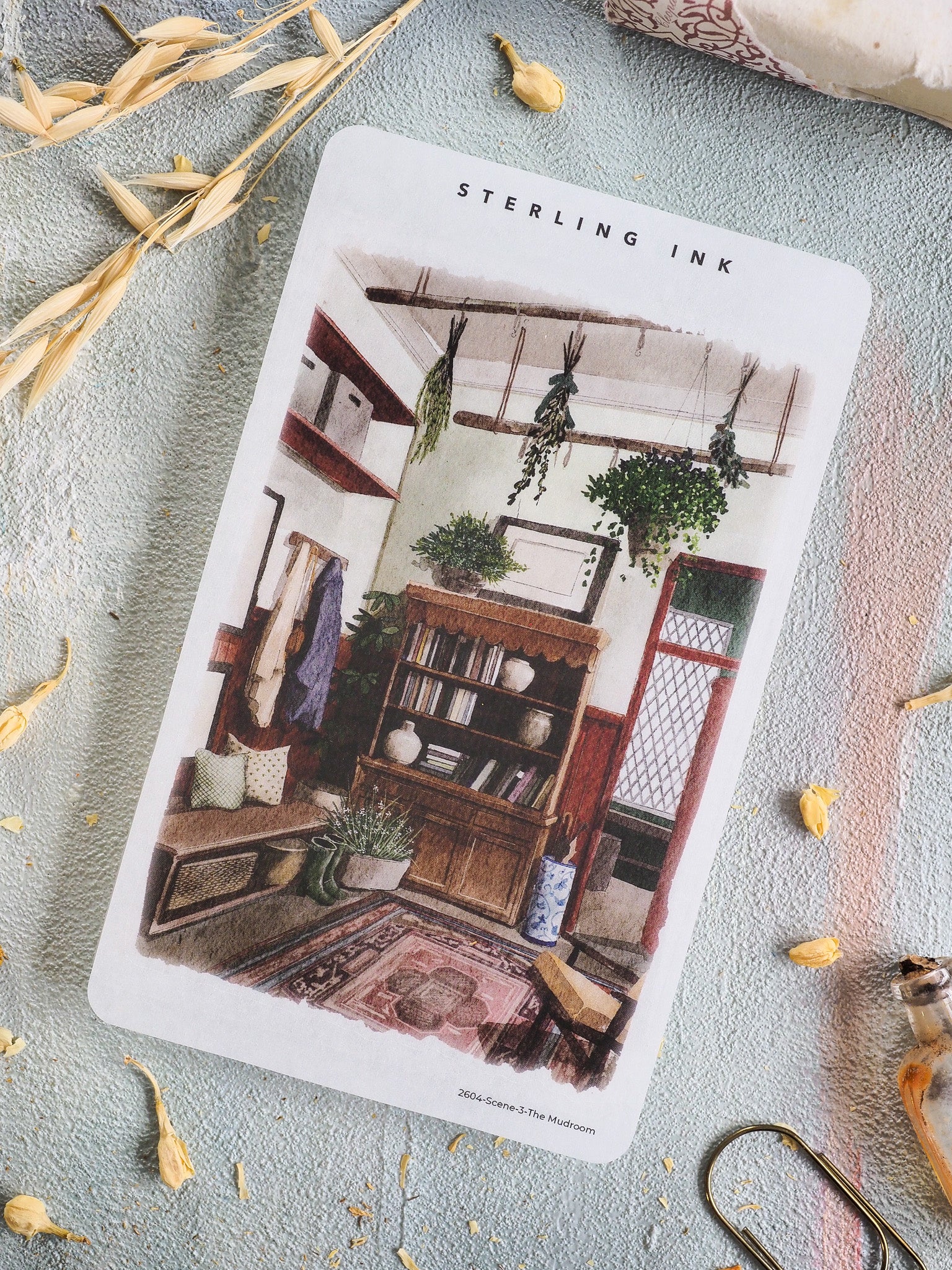 Detailed colored ink illustration of a rustic mudroom interior, showcasing wooden shelving, hanging potted plants, and cozy vintage decor.