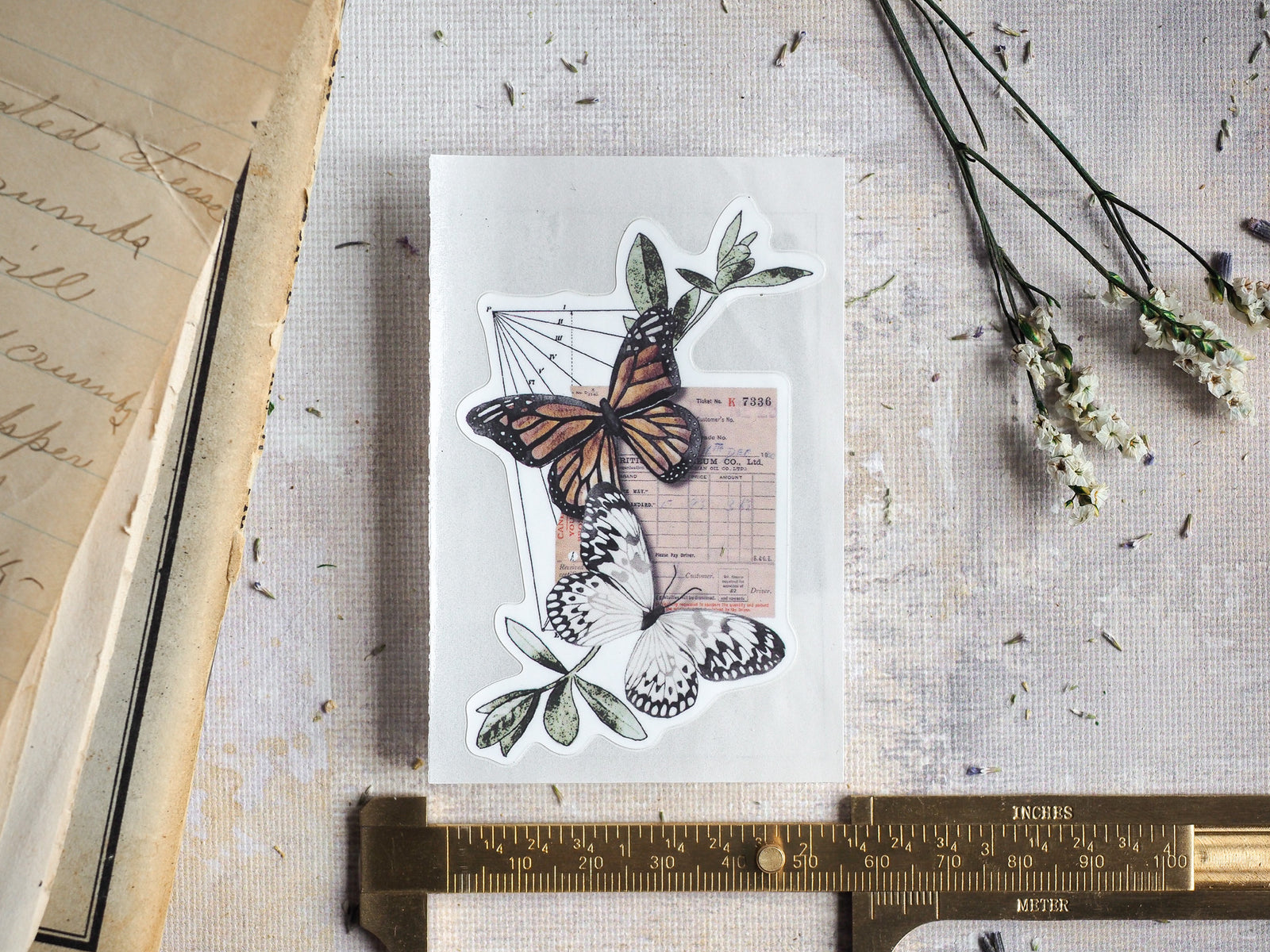 Vinyl die-cut sticker sheet featuring vintage botanical drawings of assorted butterflies, detailed wing patterns, and complementary green leaves.