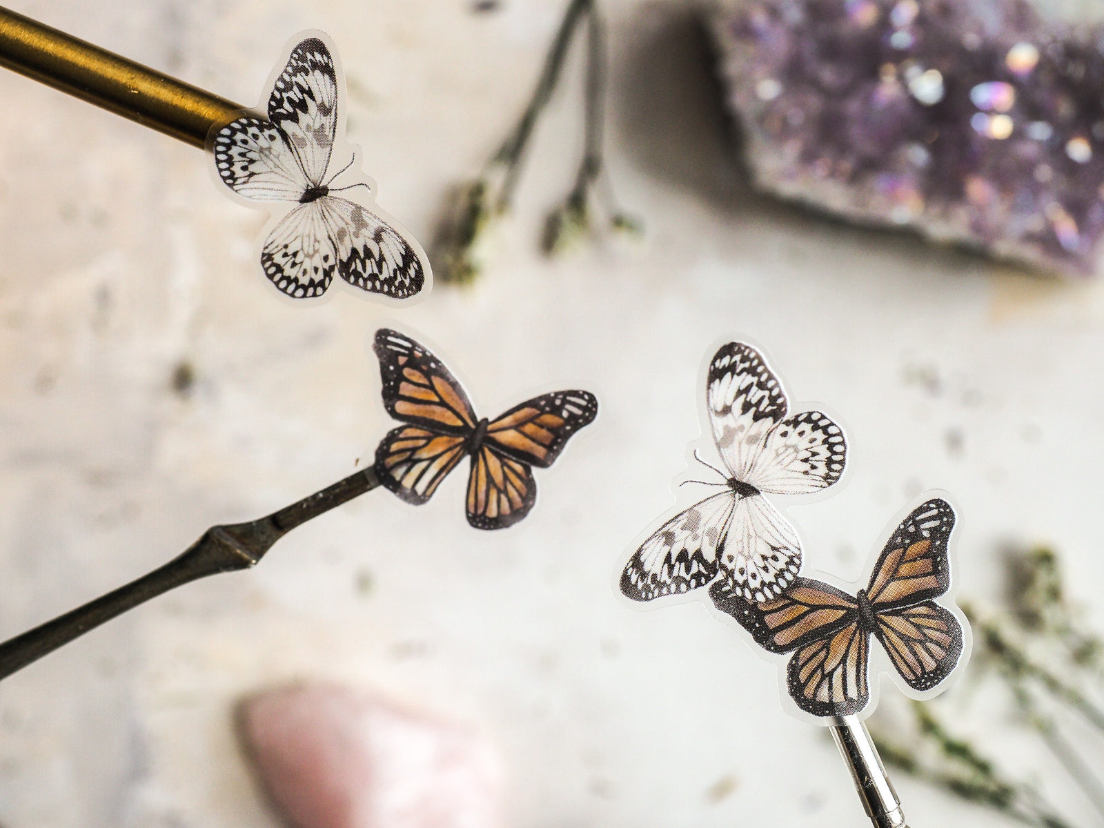 Adhesive sticker set featuring detailed elements of butterflies with black, white, and burnt orange patterns.