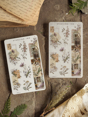 Pair of coordinating Washi stickers featuring muted, vintage botanical illustrations, sepia-toned sketches, and archival decorative motifs.