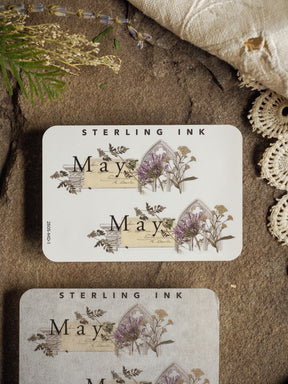 Decorative May sticker featuring vintage botanical engravings of lavender and wildflowers, printed in delicate sepia tones with natural green accents.