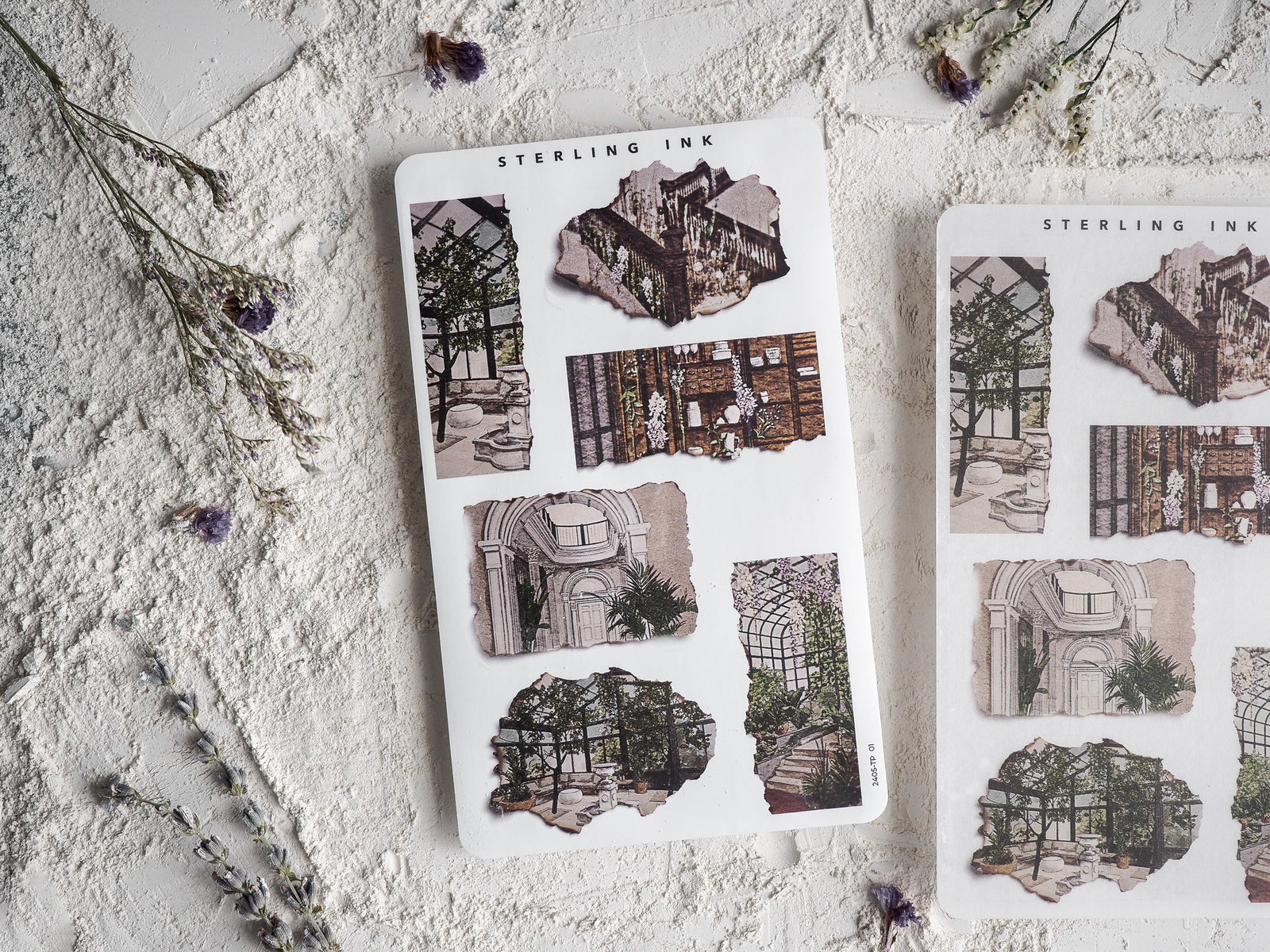 Set of torn paper stickers with distressed edges, featuring vintage architectural vignettes of windows, facades, and overgrown garden scenes.