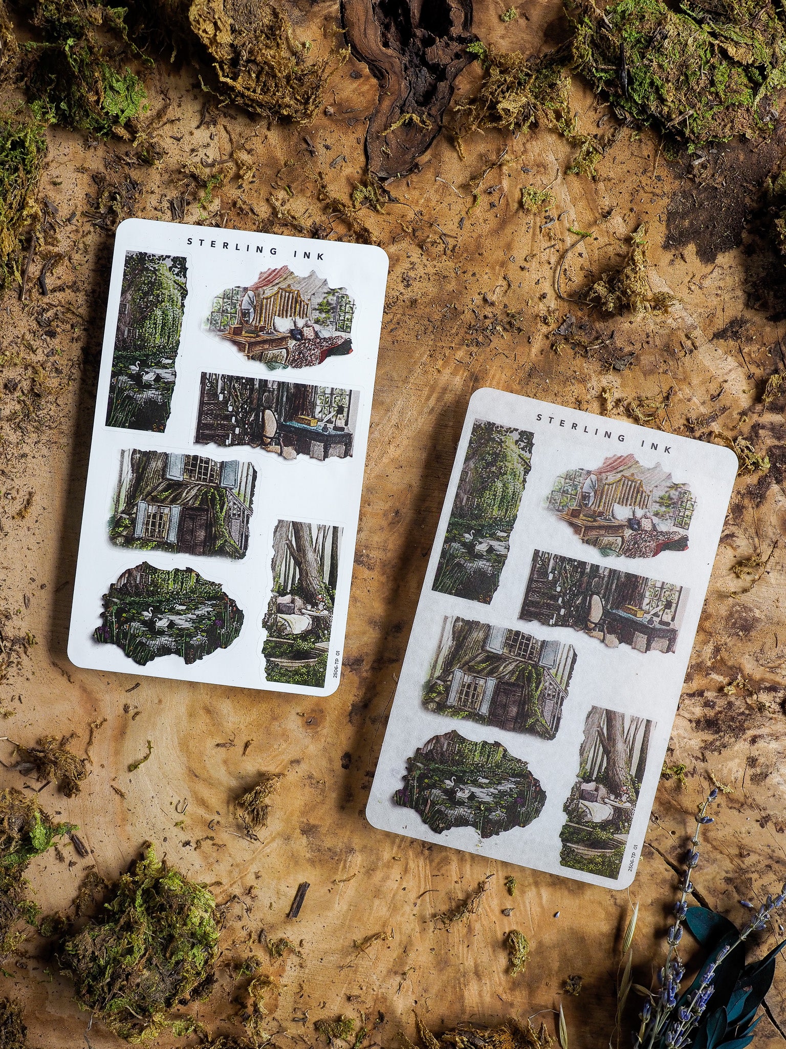Moody torn paper sticker sheets featuring vintage sketches of overgrown ruins, woodland mystery, and dramatic abandoned architectural scenes.