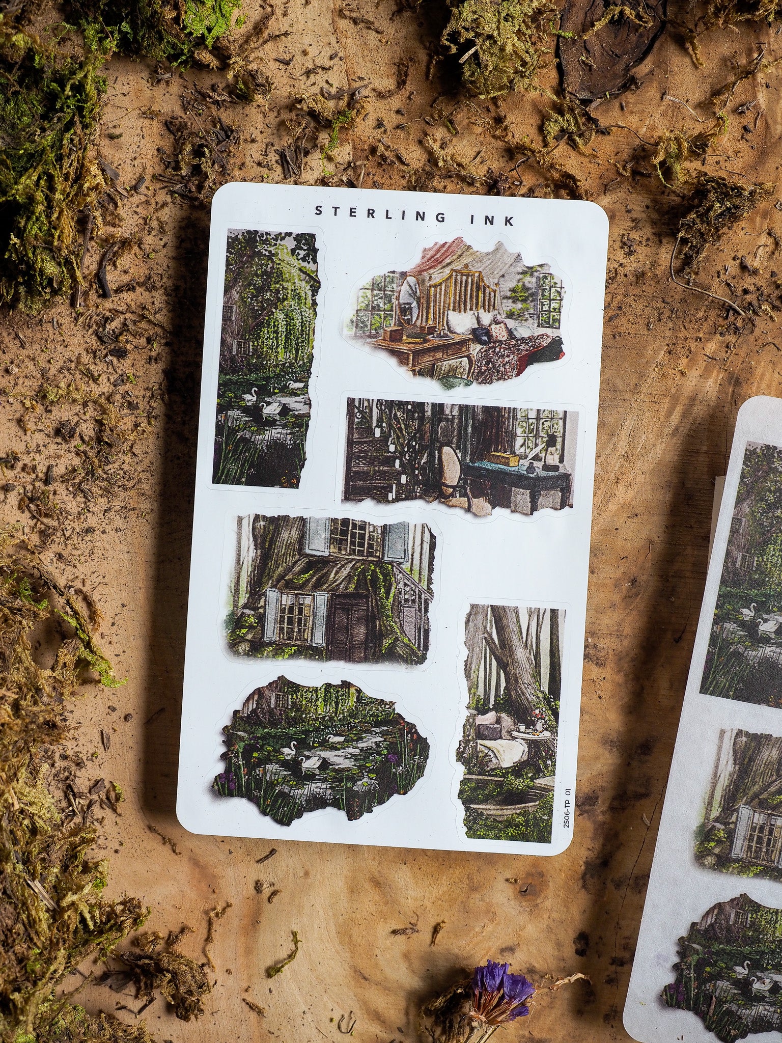 Rustic sticker sheet featuring intricate cottagecore designs of moss-covered homes and overgrown woodland scenes, perfect for scrapbooking or journaling.