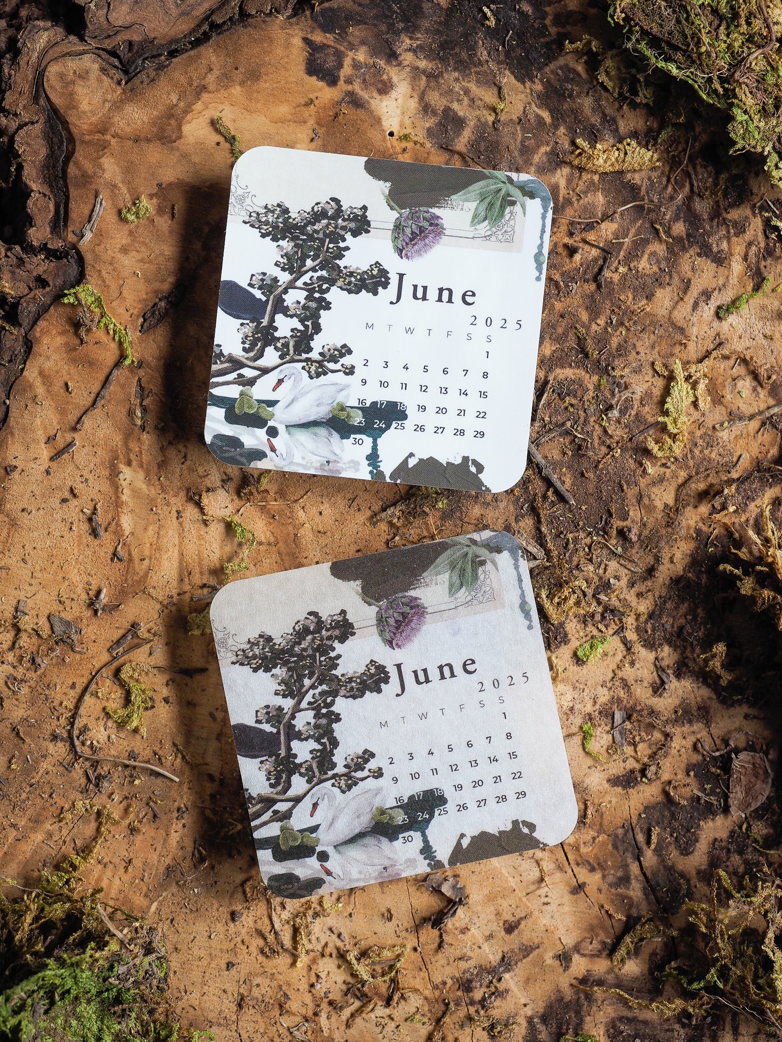 Botanical June 2025 calendar featuring elegant, dark green leaf and branch illustrations printed on a cream background.