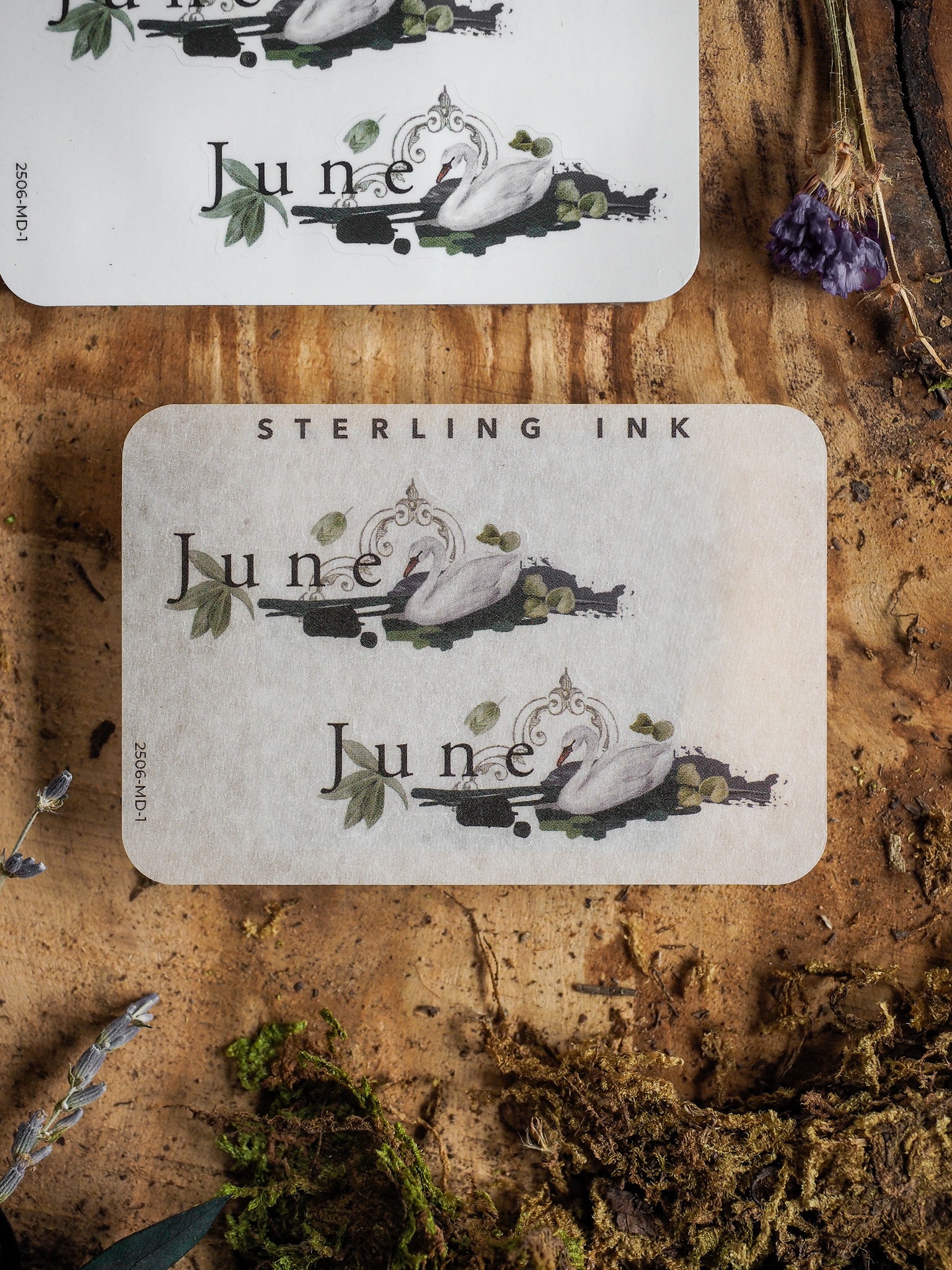 Vintage planner sticker for June 2025 featuring the word "June" in script, surrounded by delicate botanical and elegant black ink wreath designs.