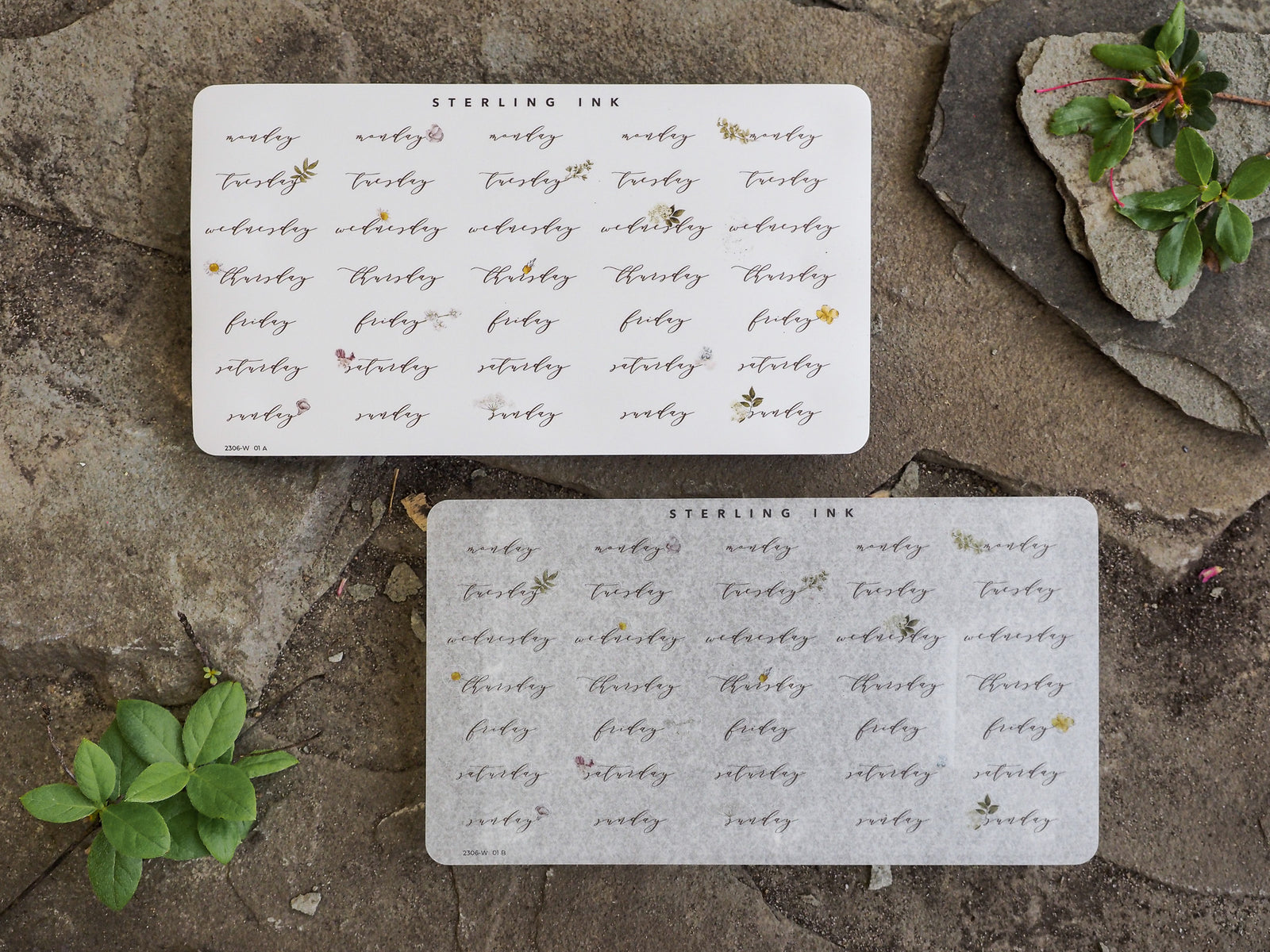 Delicate white sticker sheets featuring a floral motif and organized text for "Weekday Stickers - June 2023," perfect for planning and journaling.
