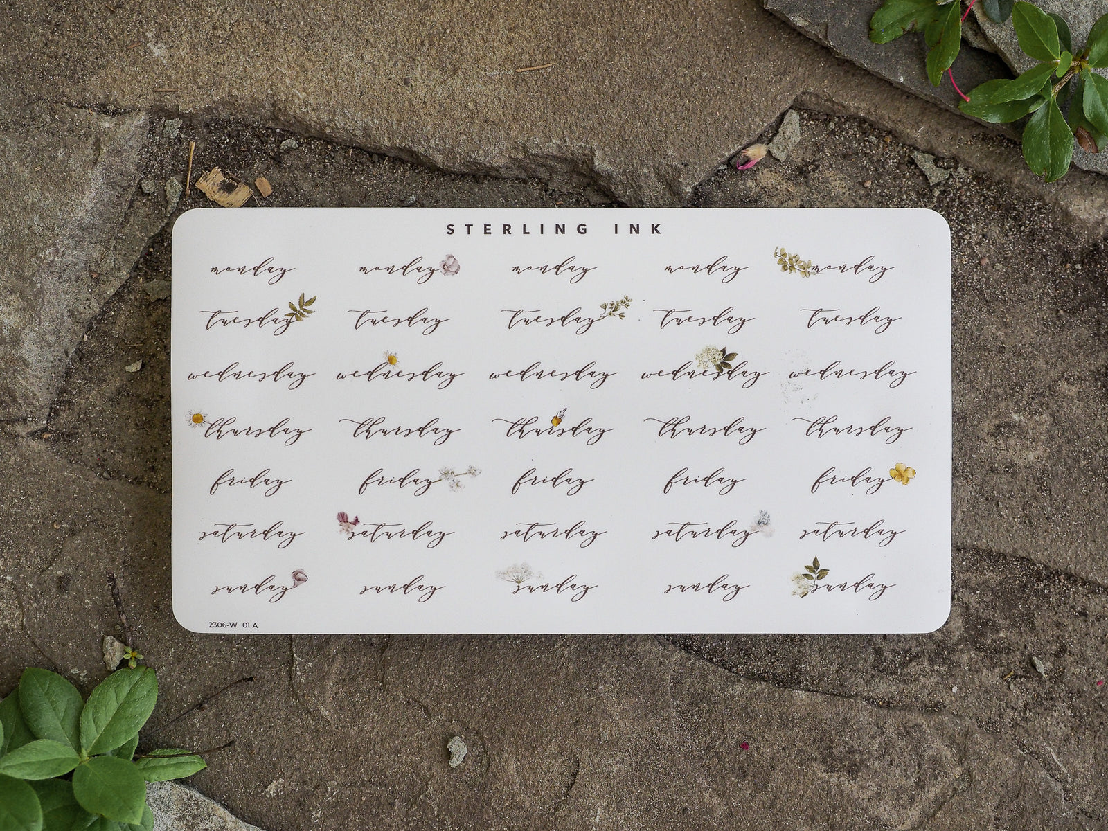 A calendar set of weekday stickers for June 2023, printed on white paper and decorated with elegant black floral and leaf motifs.