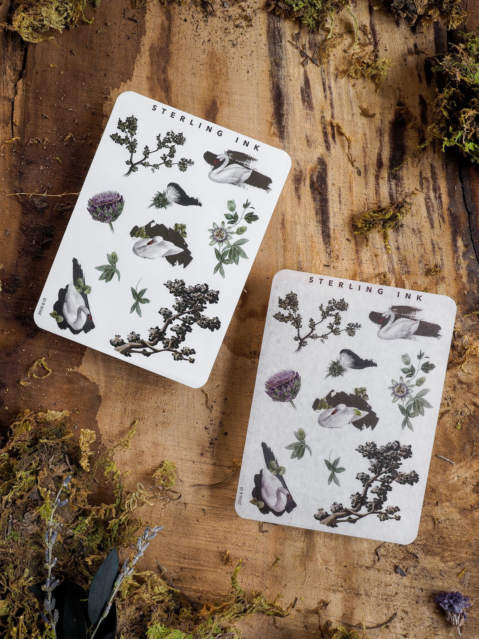 Botanical sticker sheet featuring black ink illustrations of flowering branches, various foliage, and delicate natural elements, perfect for June seasonal crafting.