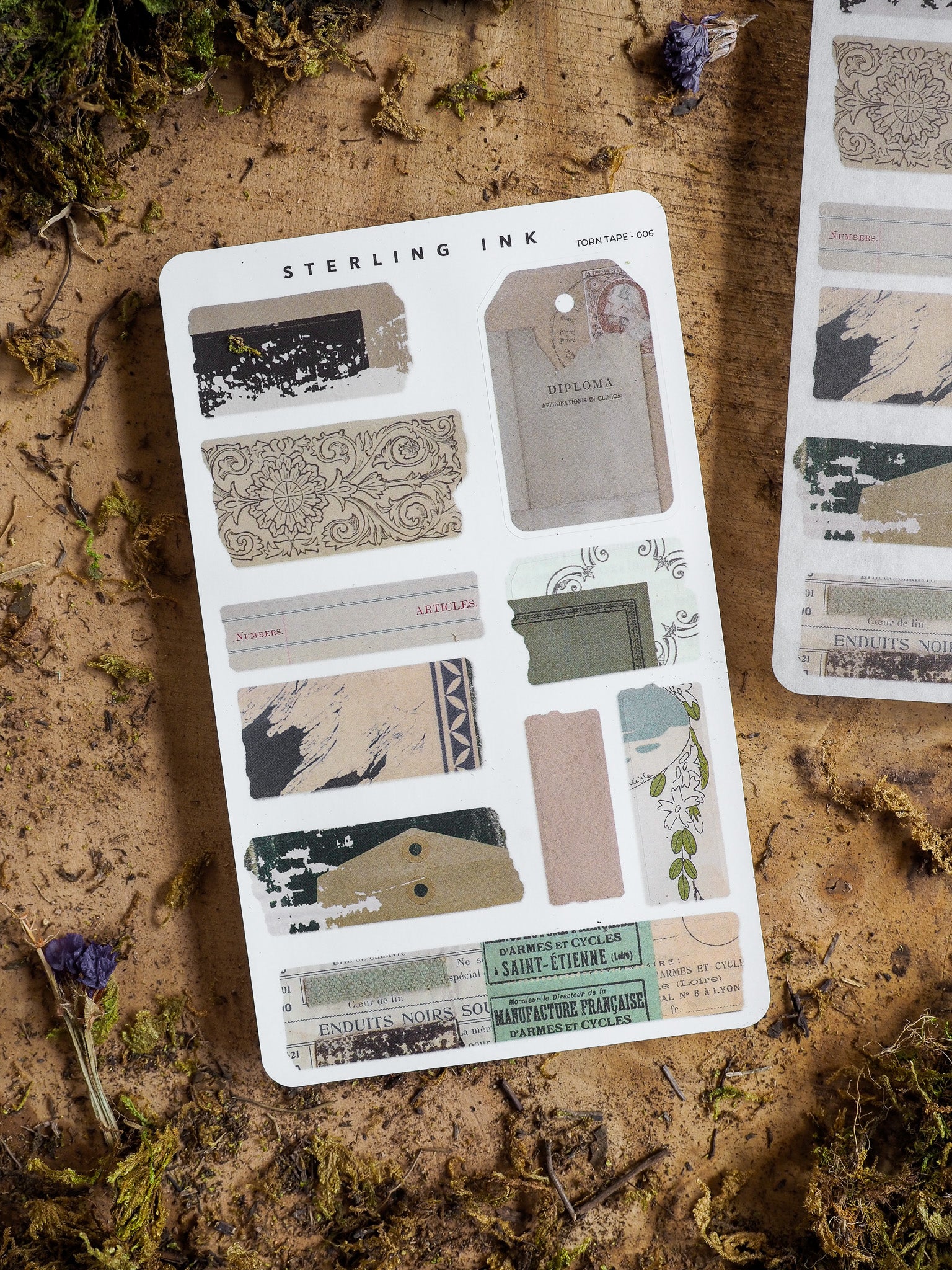 Vintage document-themed torn tape sticker set featuring ephemera labels, diplomas, and stamped archival designs in aged sepia and cream tones.
