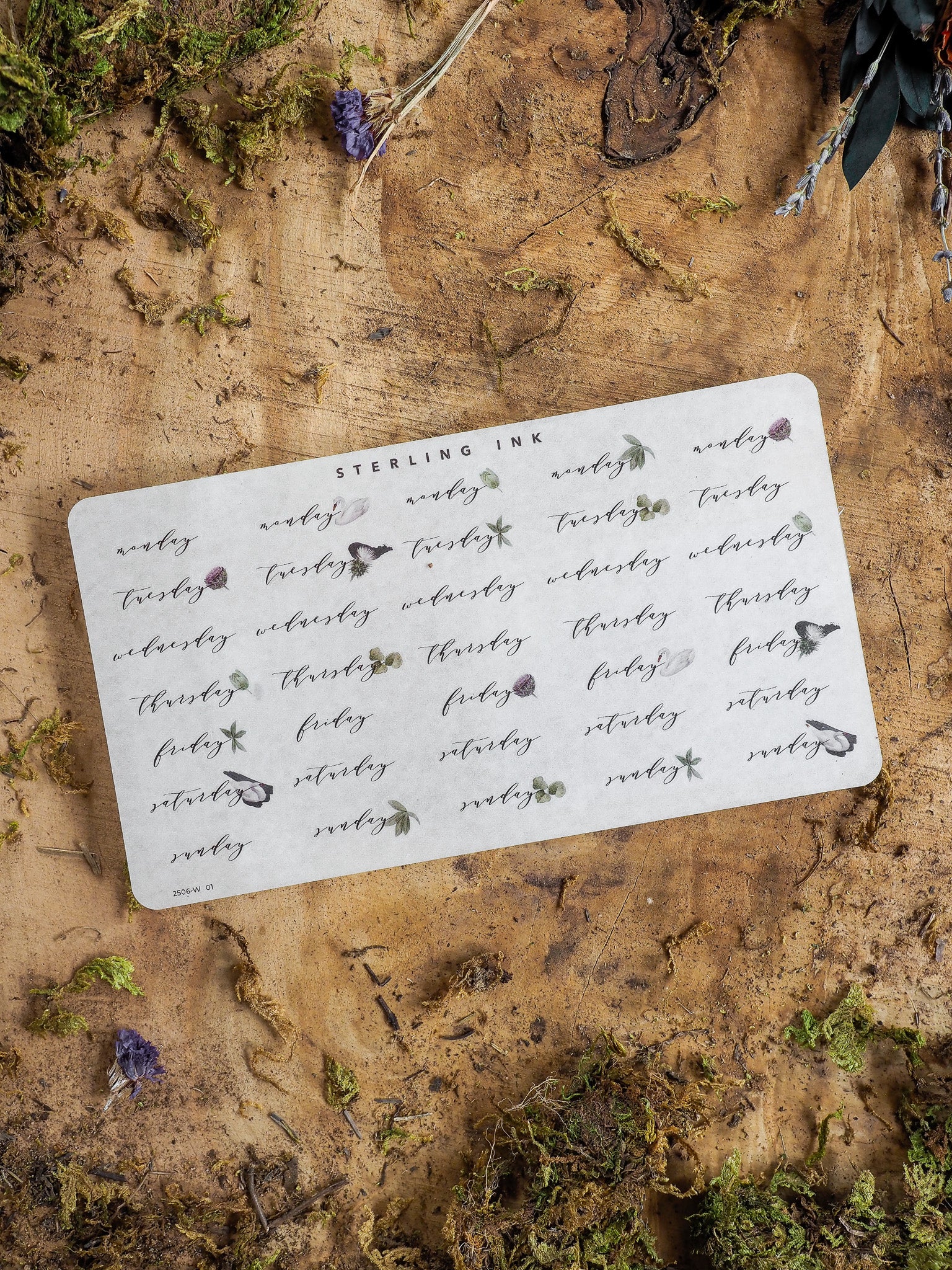 A white sticker sheet with a minimalist black typographic pattern featuring the days of the week for June 2025, perfect for planning and journaling.