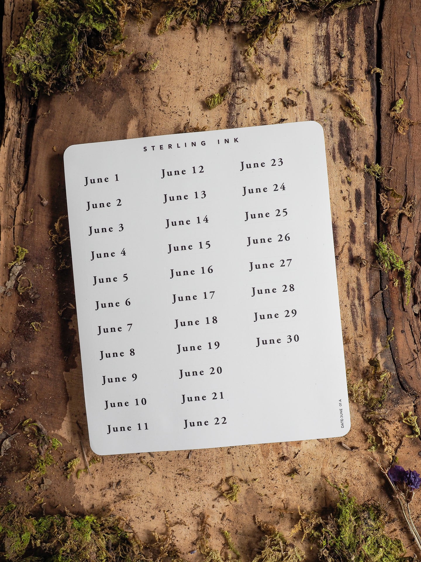 June Date Stickers - June 2025
