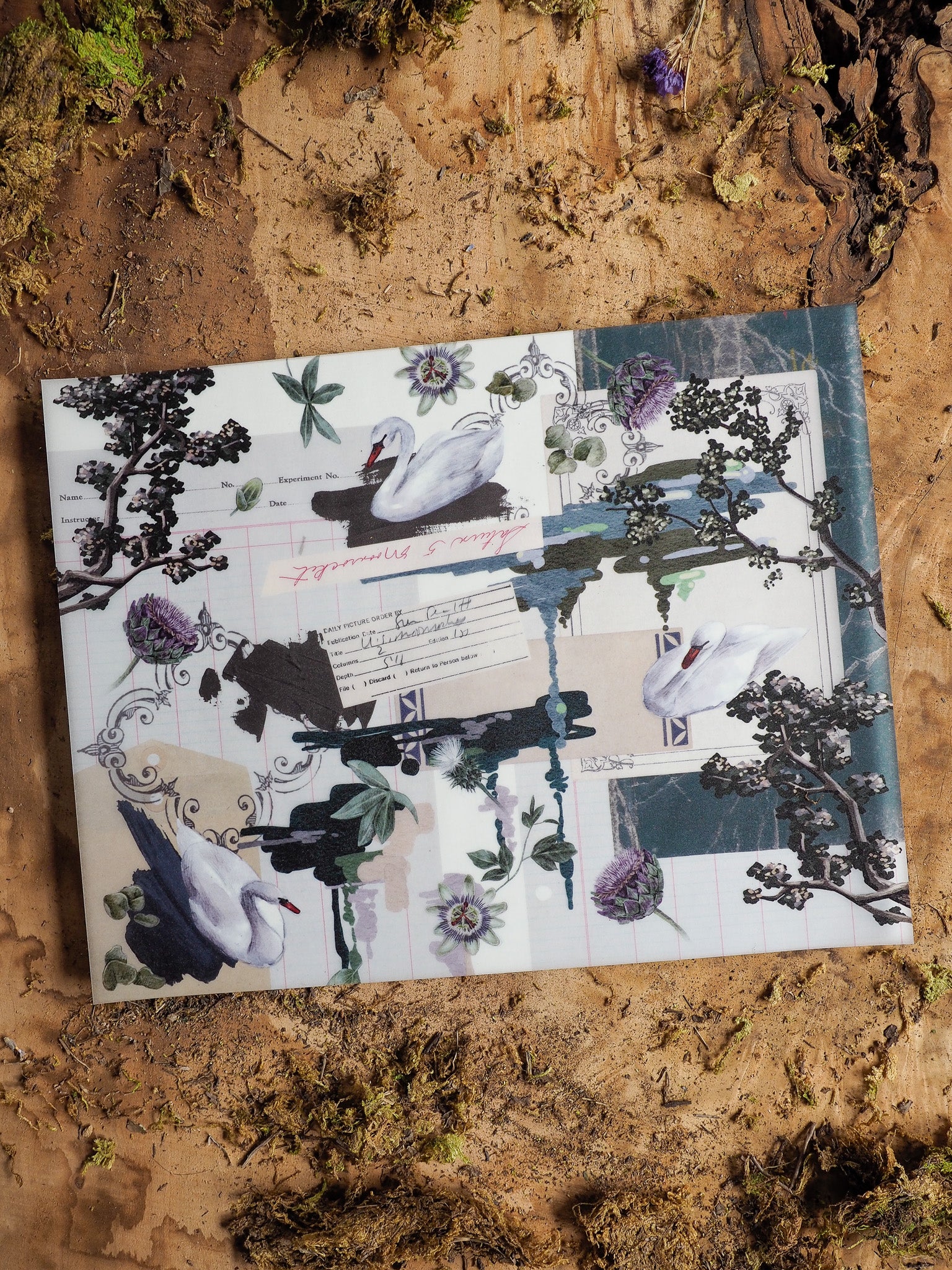 Elegant June 2025 planner featuring a watercolor border of graceful cranes, dark foliage, and soft purple floral elements.