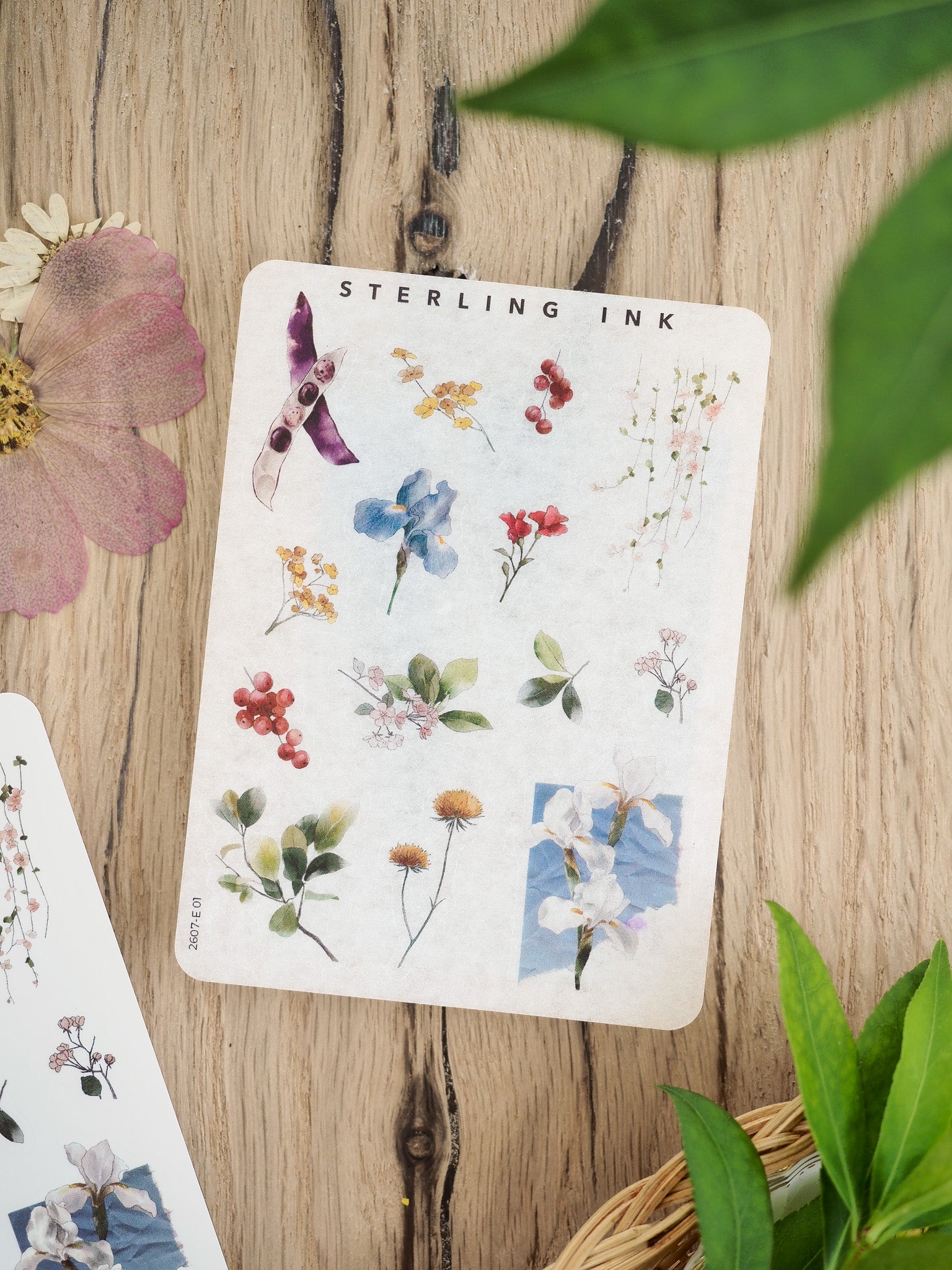 Elements Stickers - July 2026