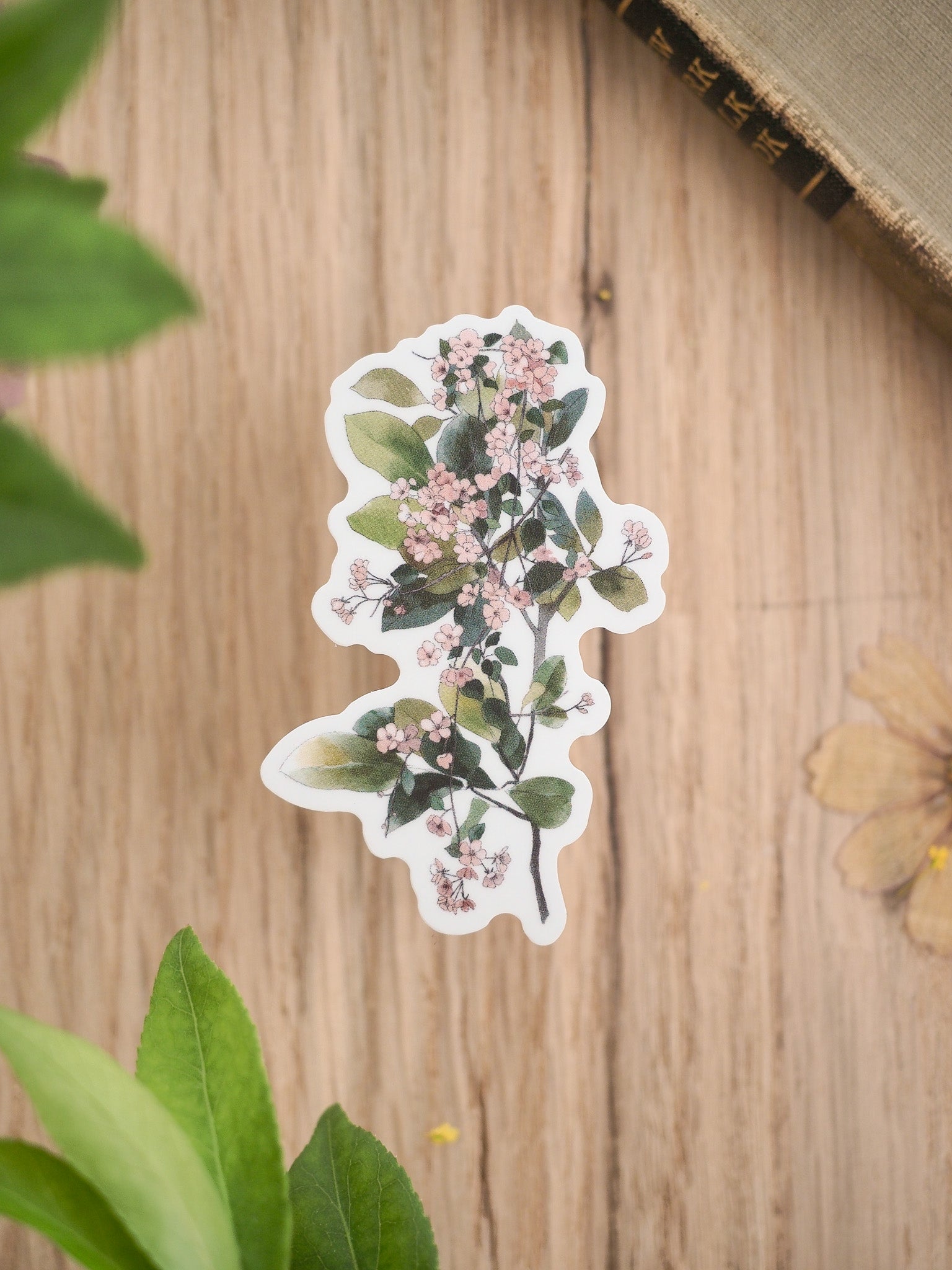 Vinyl Die-cut Stickers: Floral - July 2026