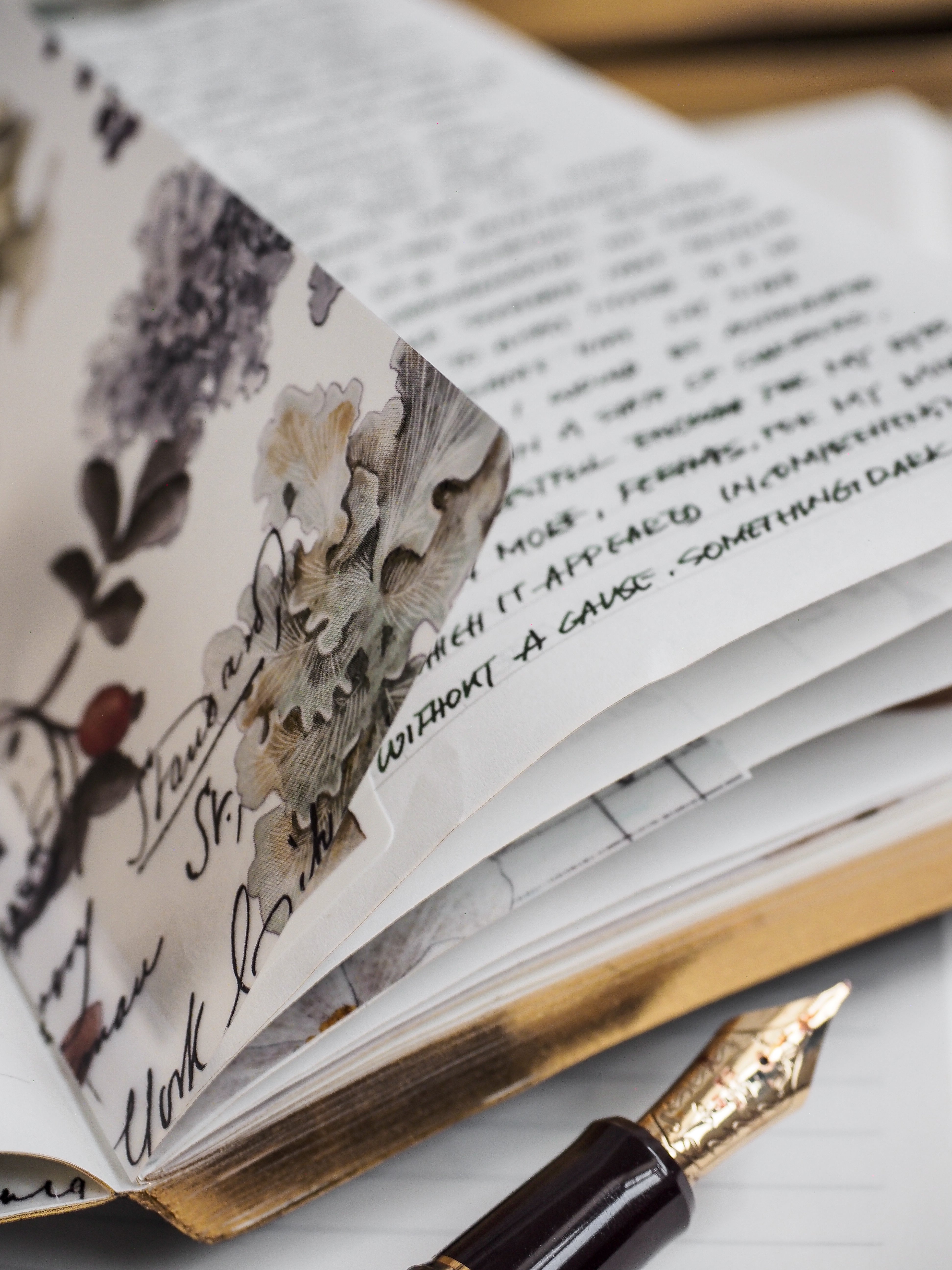 Open A5 lined notebook featuring a delicate, artistic black-and-white botanical illustration of detailed mushrooms and foliage.