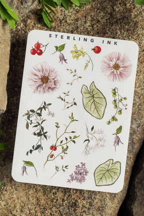 Botanical sticker set featuring delicate watercolor depictions of pink daisies, lush green leaves, red berries, and natural floral elements.