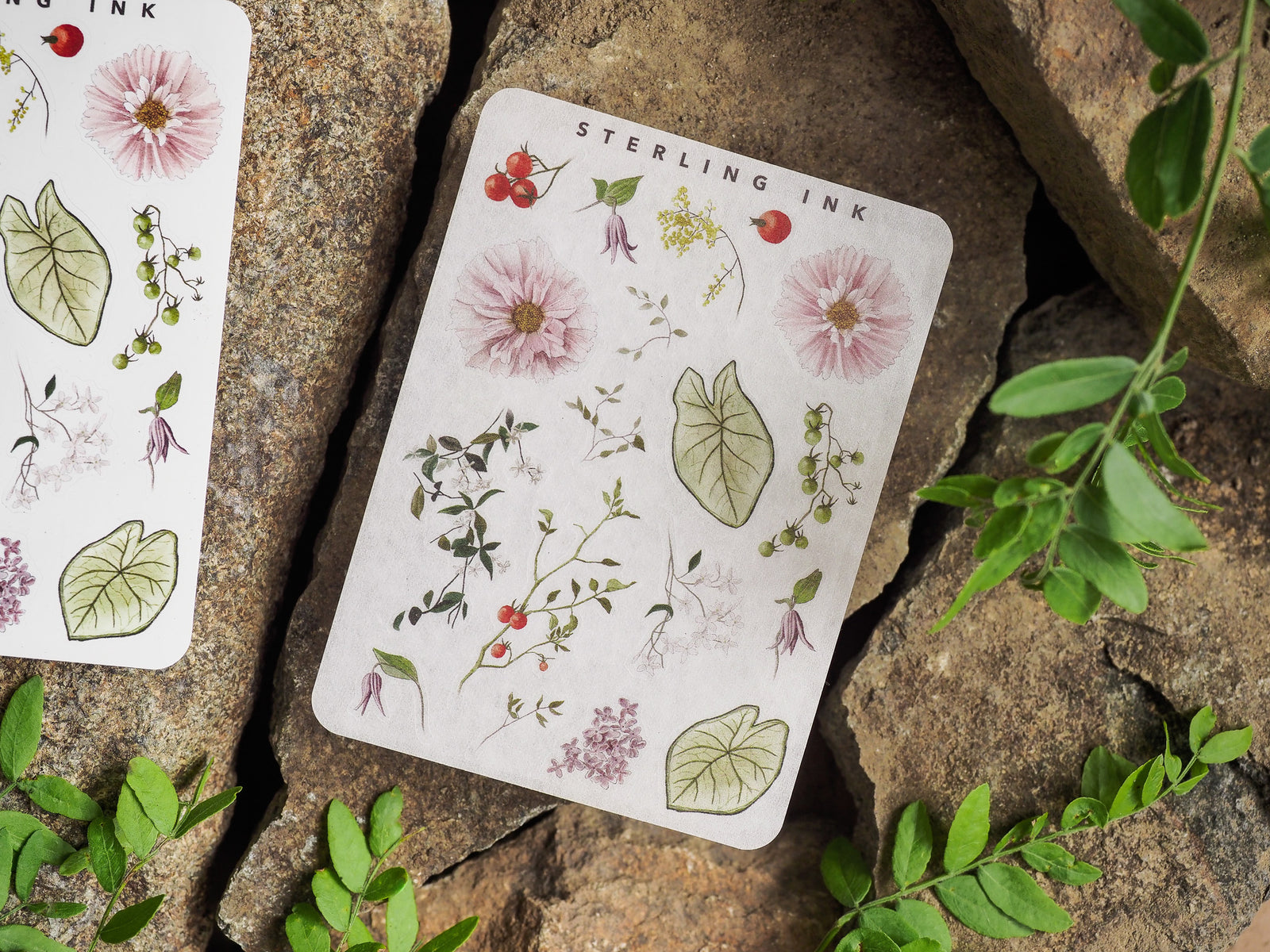 Delicate botanical sticker sheet featuring watercolor elements of pink peonies, lush green leaves, and red berries, perfect for floral journaling and crafting.