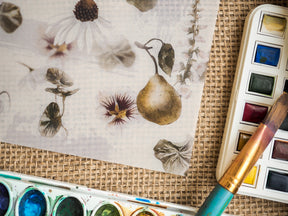 Charming Vellum sticker sheet for July 2023, decorated with delicate, vintage botanical prints of pears, daisies, and soft sepia-toned foliage.