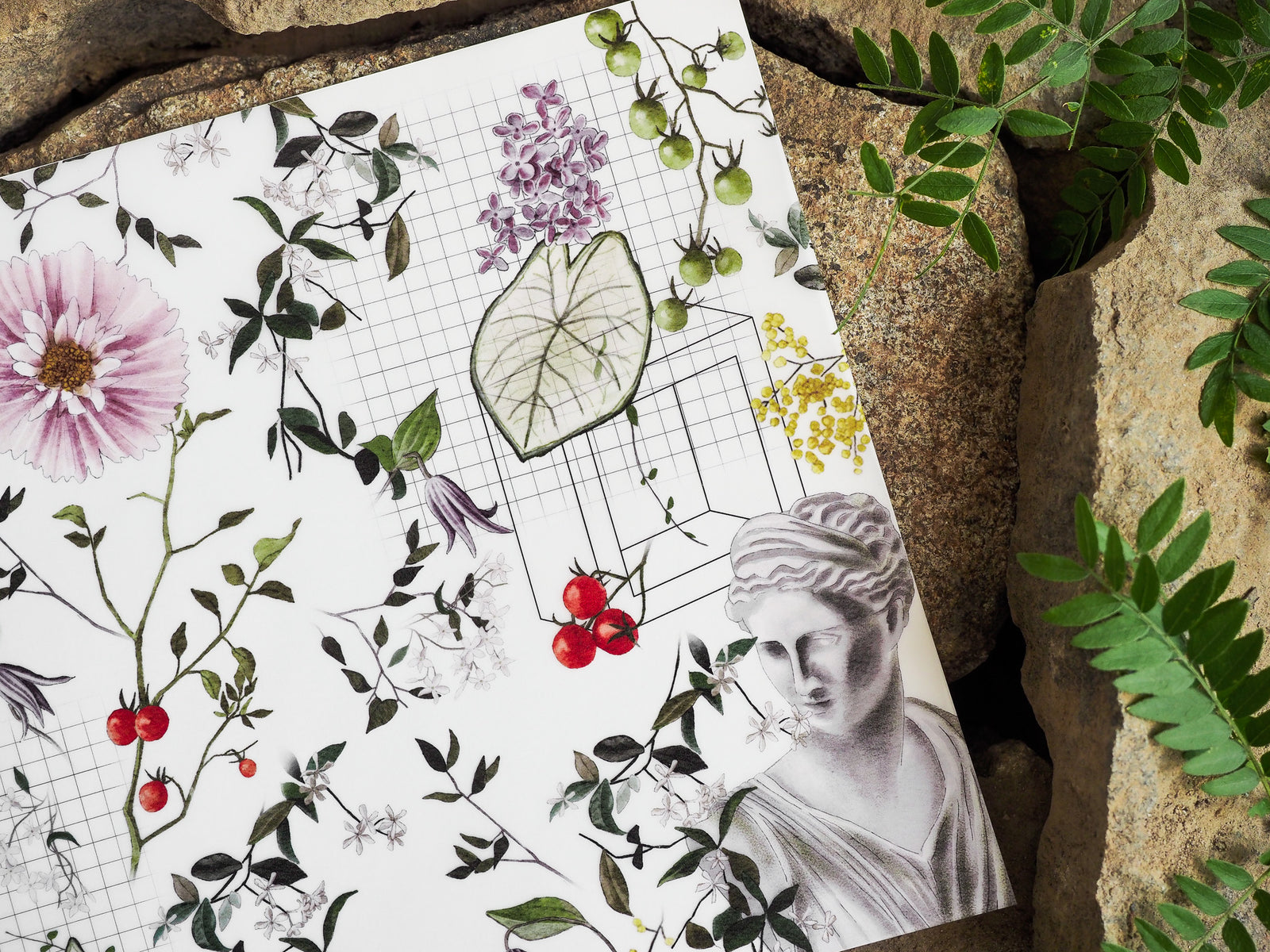 Intricate botanical illustration sheet for July 2024, featuring a scientific grid, lush florals, grapes, berries, and an elegant sketched portrait.