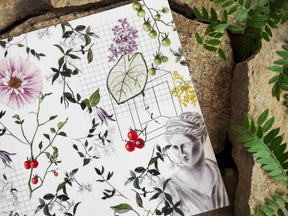 Intricate botanical illustration sheet for July 2024, featuring a scientific grid, lush florals, grapes, berries, and an elegant sketched portrait.
