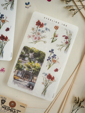 Watercolor illustration card titled "Sterling Ink," featuring a vintage street scene beneath a border of detailed, colorful botanical drawings of flowers.