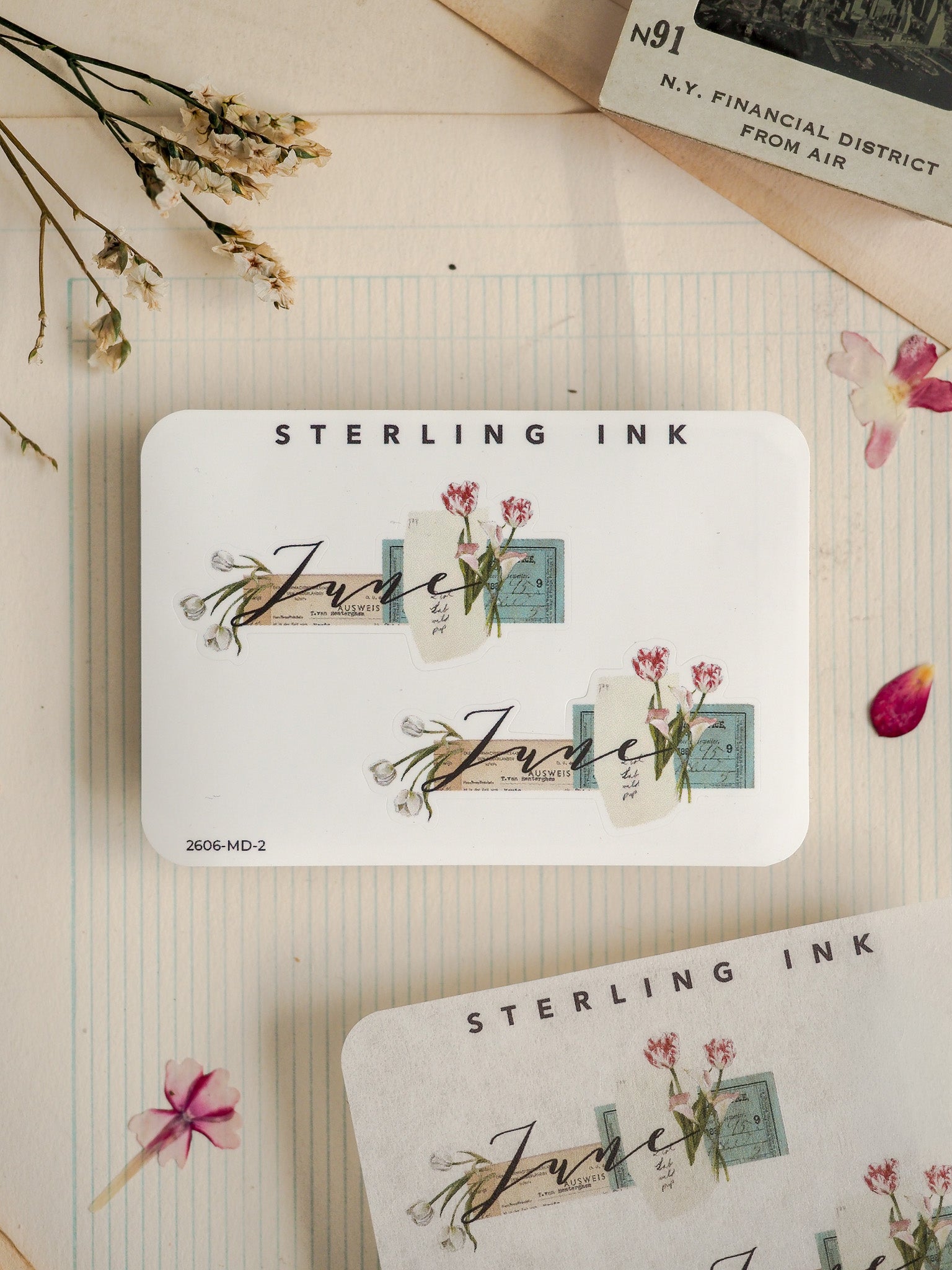 A white craft sticker featuring the script name "Jave" surrounded by delicate watercolor botanicals, greenery, and a rustic blue stamp design under the "STERLING INK" label.