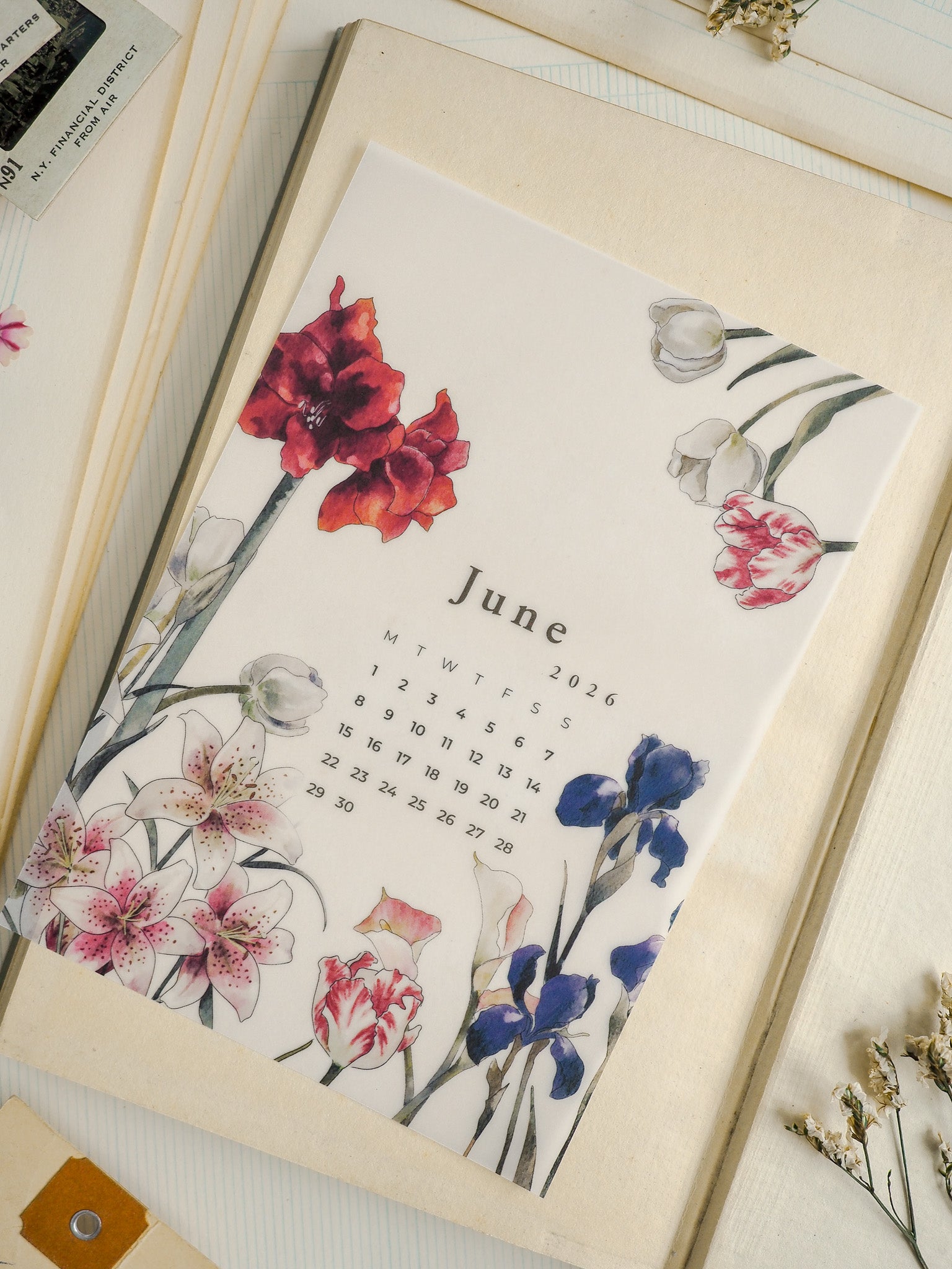 Lush watercolor floral calendar for June 2026, showcasing a vibrant arrangement of deep red, pink, and blue spring blossoms.