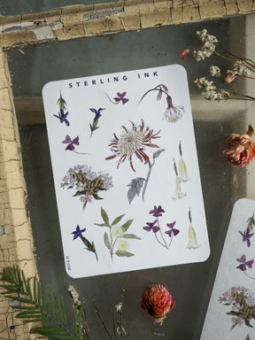 Botanical elements sticker set showcasing detailed illustrations of purple and blue flowers, lush leaves, and blooms in delicate watercolor tones.