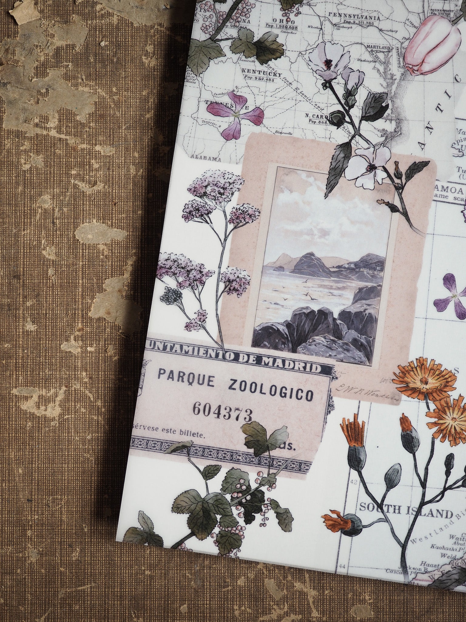 Vintage August 2025 planner spread combining detailed botanical drawings and faded antique map elements, ideal for themed journaling or scrapbooking.