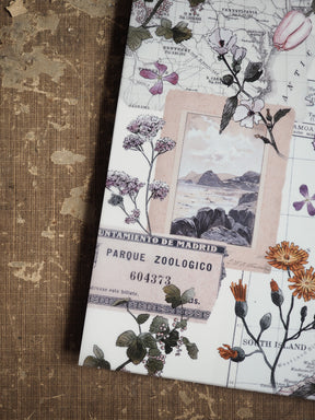 Vintage August 2025 planner spread combining detailed botanical drawings and faded antique map elements, ideal for themed journaling or scrapbooking.