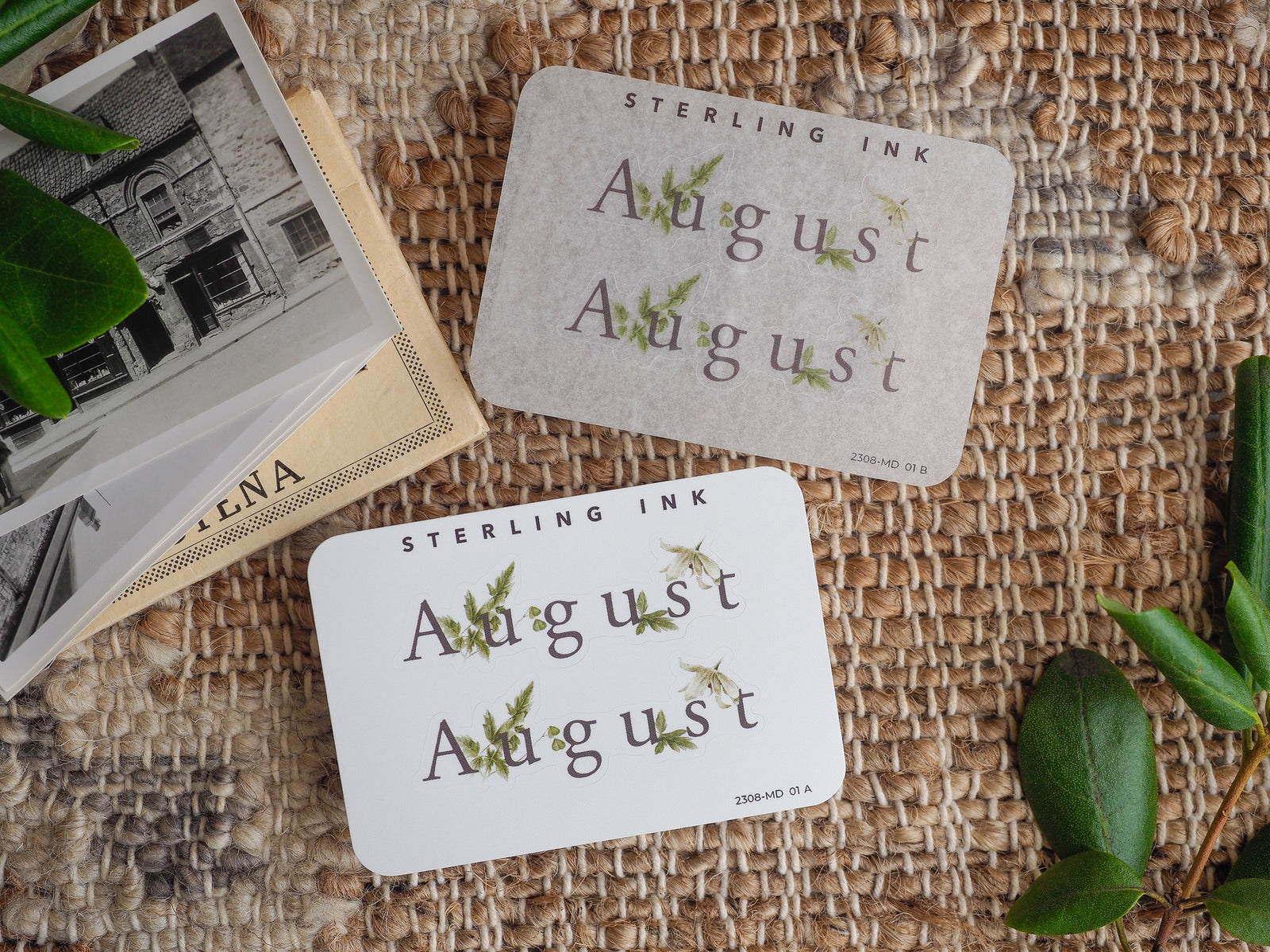 Cream-colored monthly sticker featuring the word "August" in elegant script, surrounded by delicate green foliage and designed for planning or journaling.