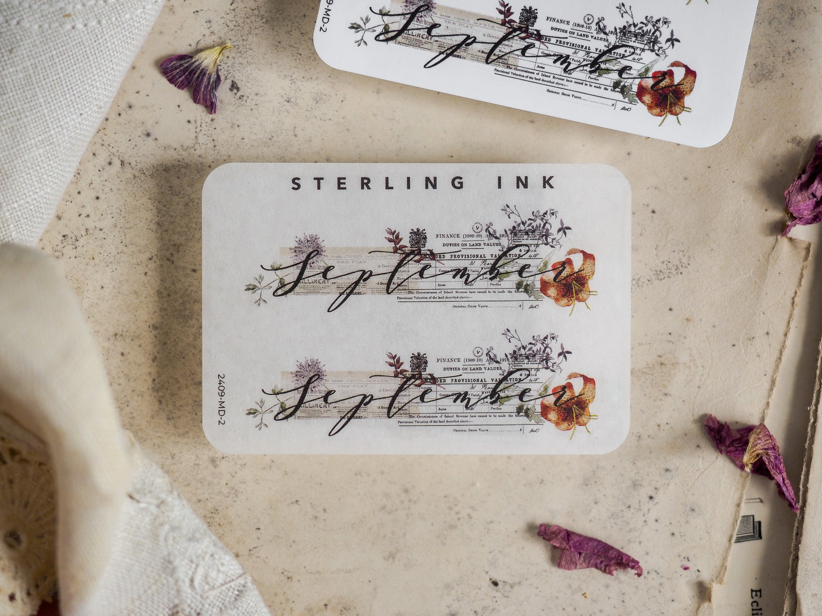 Elegant September month sticker featuring vintage botanical illustrations and flowing script text on rustic white cardstock.