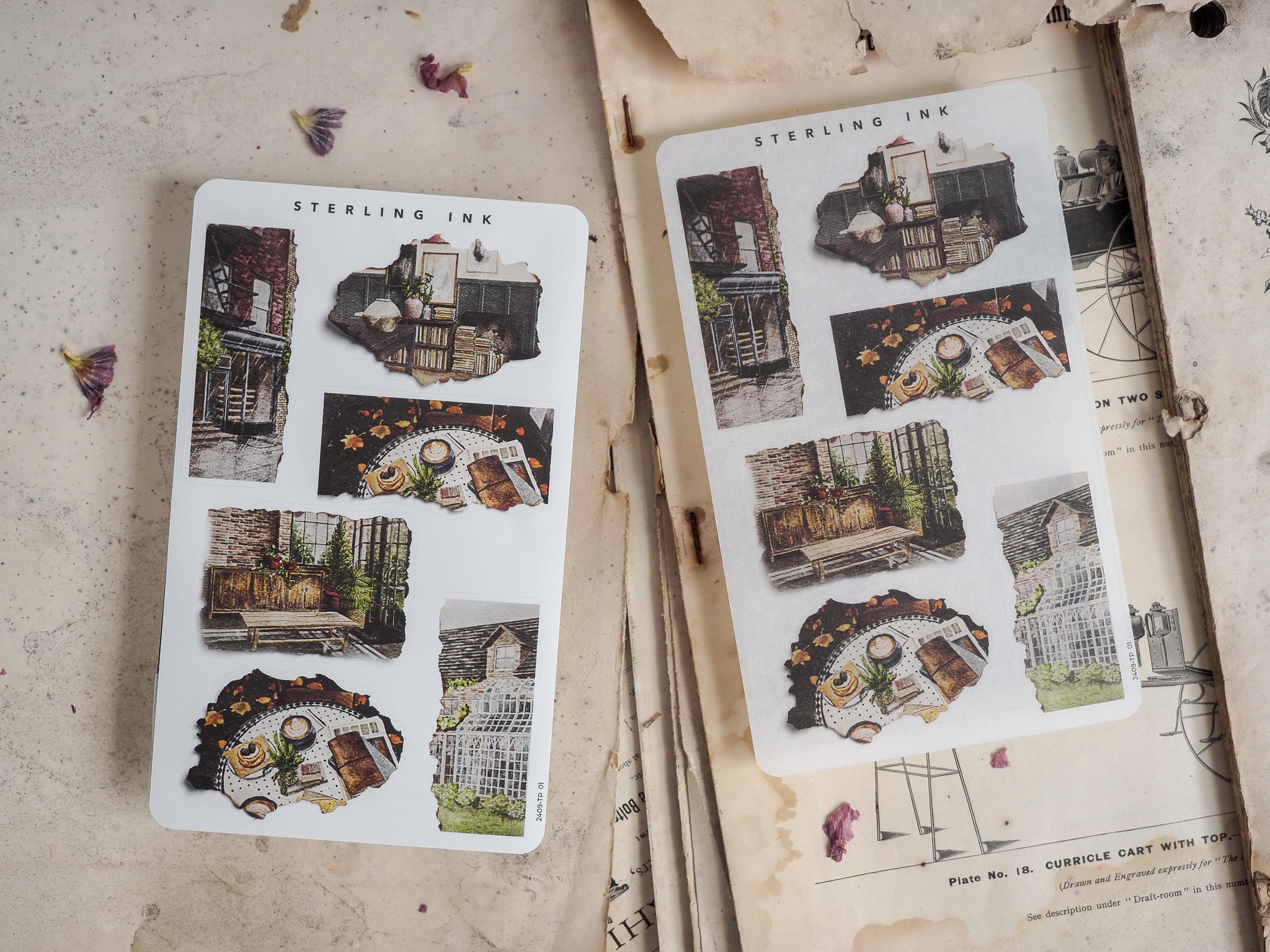 Torn Paper Stickers - September 2024