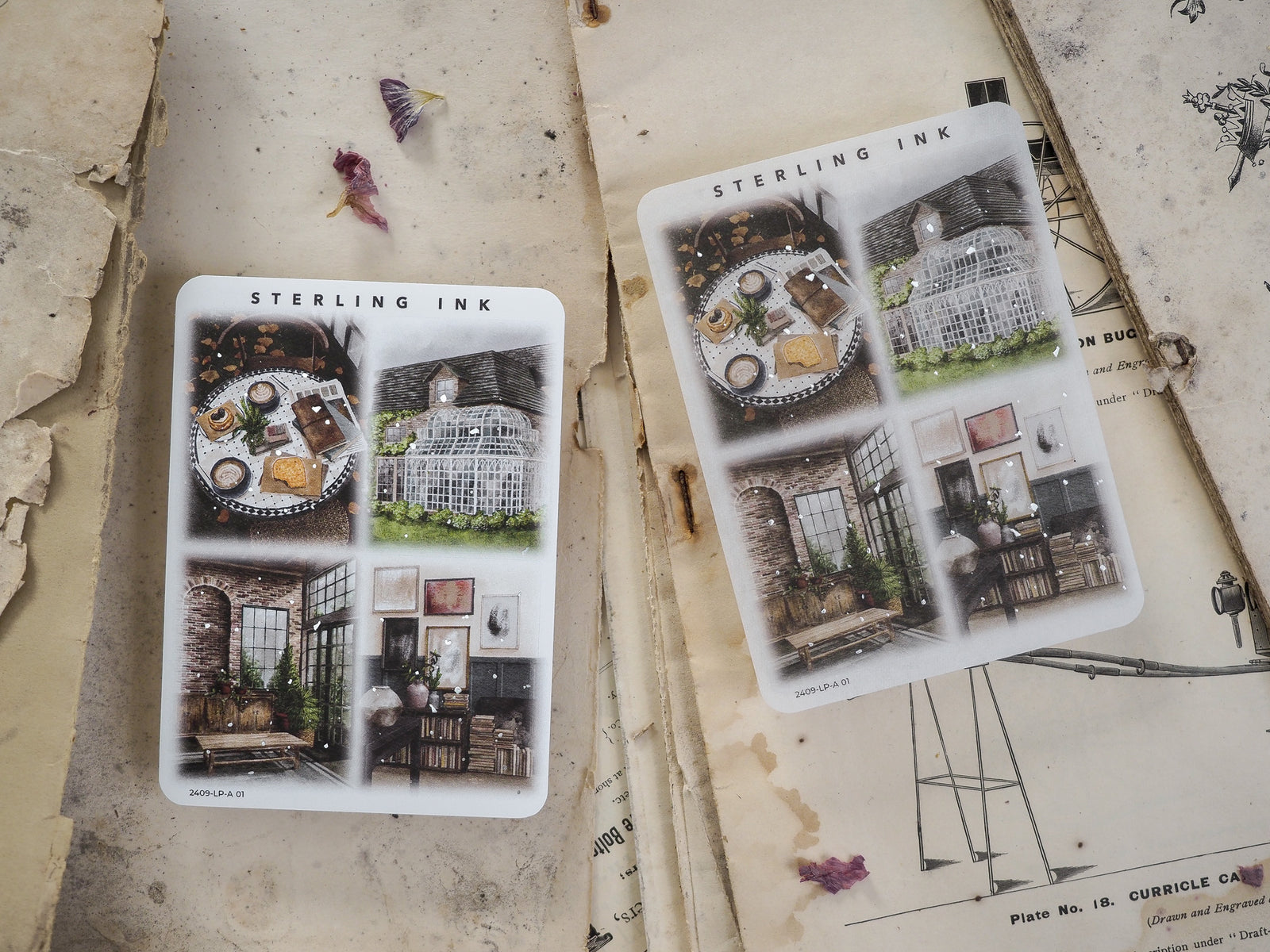 Ornate illustrations of vintage home decor, featuring detailed rooms, decorative wreaths, and elegant interior vignettes for crafting.