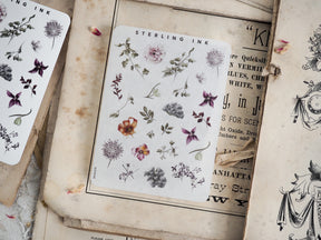 Botanical sticker sheet featuring delicate, muted illustrations of pressed elements, including various flowers, leaves, and natural botanical drawings.
