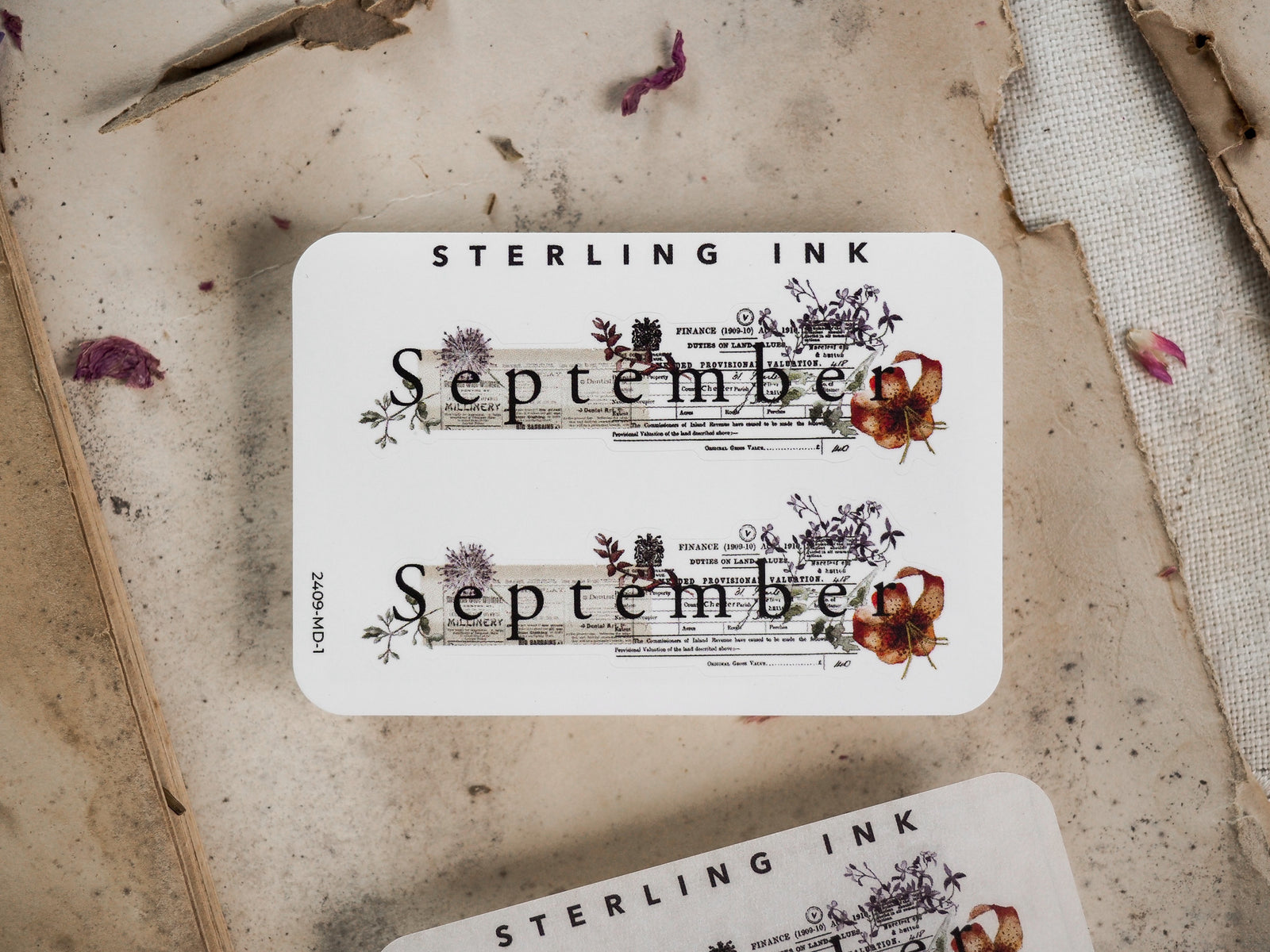 Elegant vintage September sticker featuring decorative botanical borders, formal academic text, and ruled lines perfect for scrapbooking or journaling.