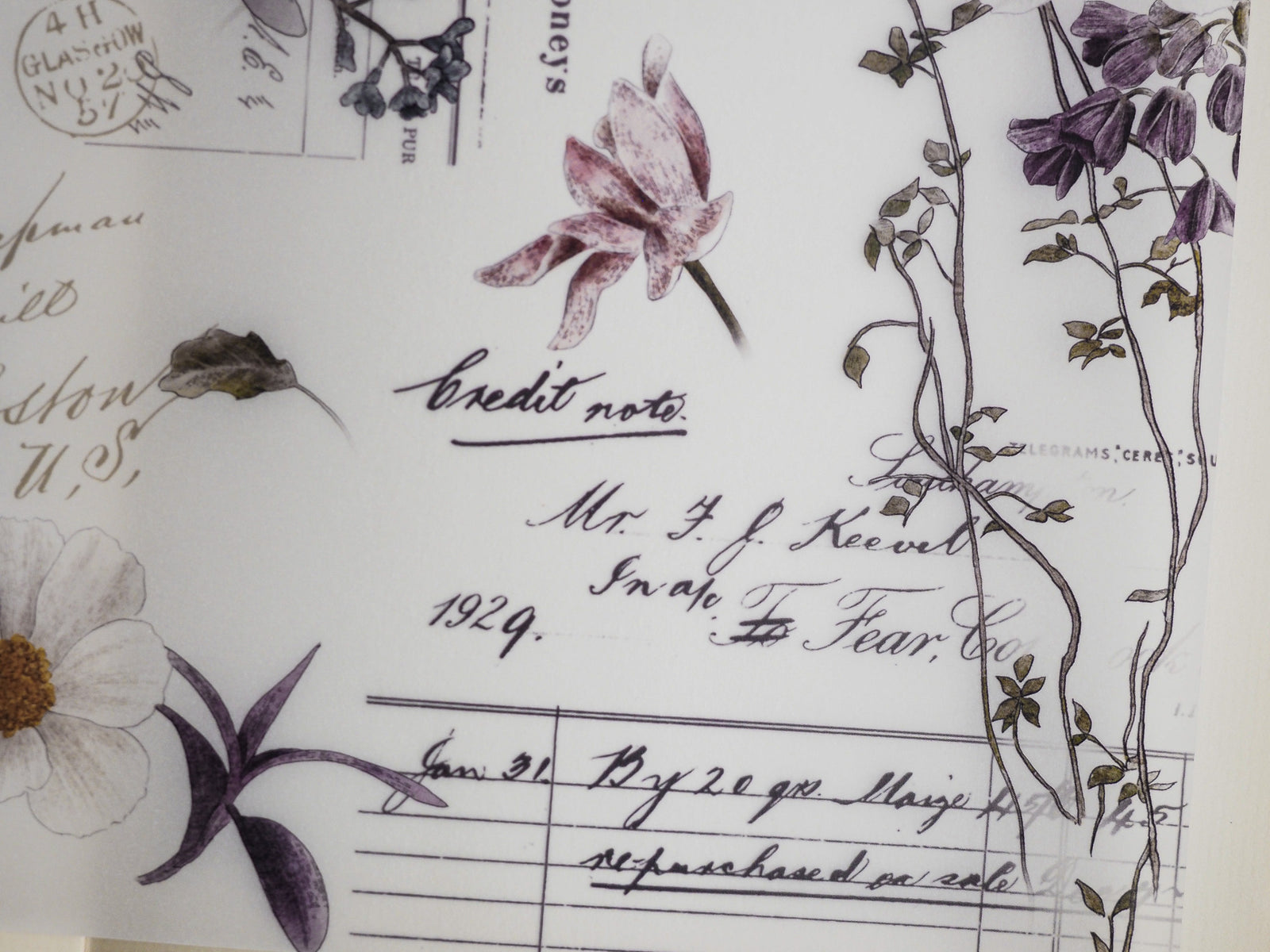 Botanical journal page featuring detailed, vintage scientific illustrations of delicate orchids and elegant trailing dark purple floral and leaf arrangements.