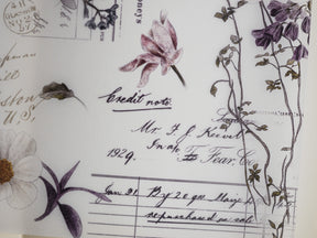 Botanical journal page featuring detailed, vintage scientific illustrations of delicate orchids and elegant trailing dark purple floral and leaf arrangements.