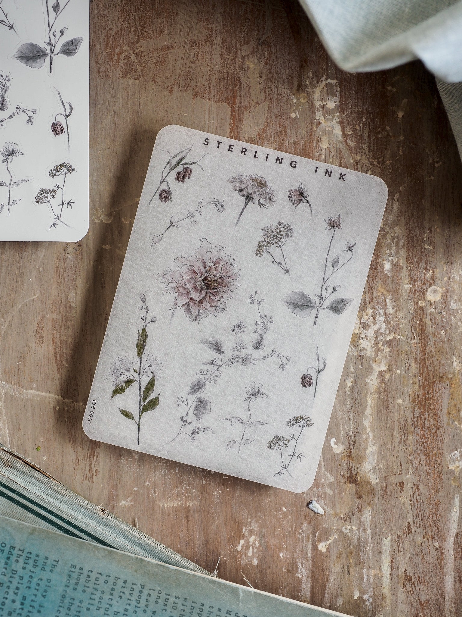 Botanical elements sticker sheet featuring detailed, vintage line drawings of assorted flowers, herbs, and foliage printed on a pale gray background.