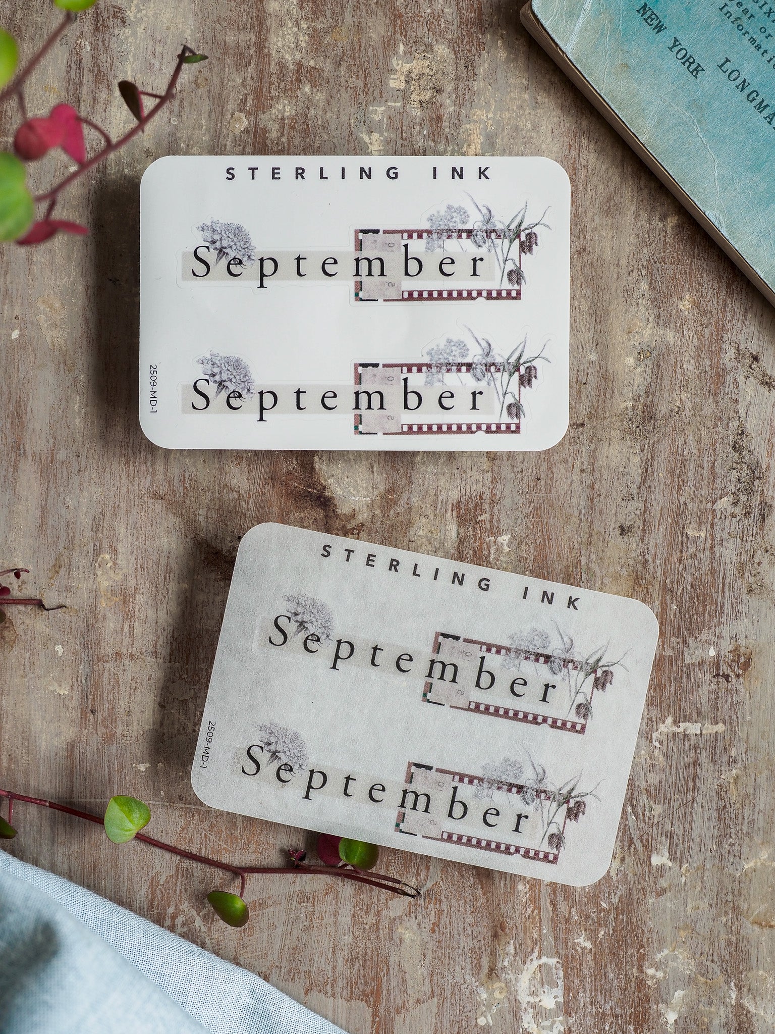 Vintage September planner stickers featuring the month's name and delicate watercolor grass illustrations framed by a rustic, distressed border design.