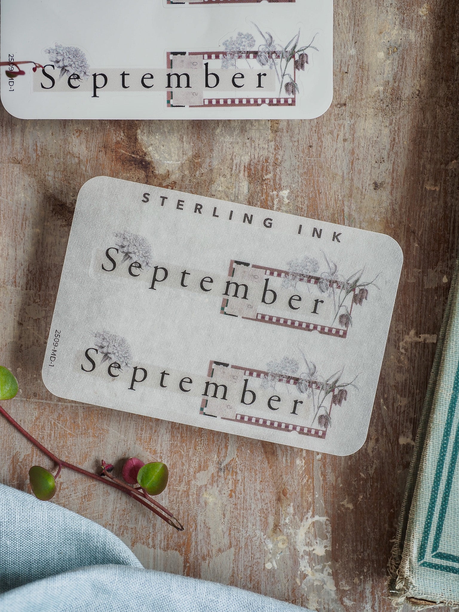 Vintage September month sticker featuring distressed lettering and a delicate botanical border, perfect for seasonal journaling or scrapbooking.