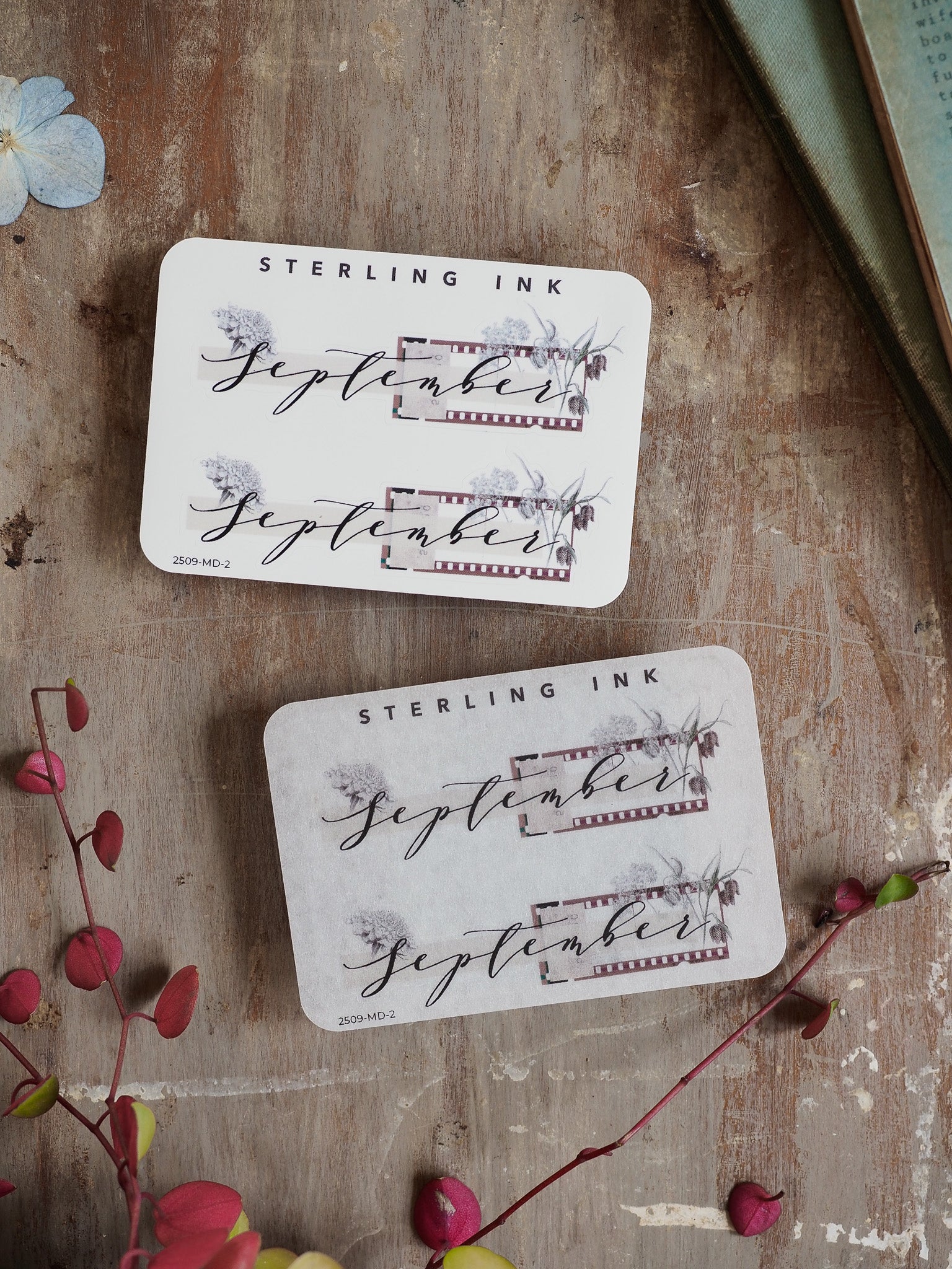 Elegant sticker set for planning featuring "September" written in black calligraphy, decorated with delicate rustic botanical elements and a decorative liner.