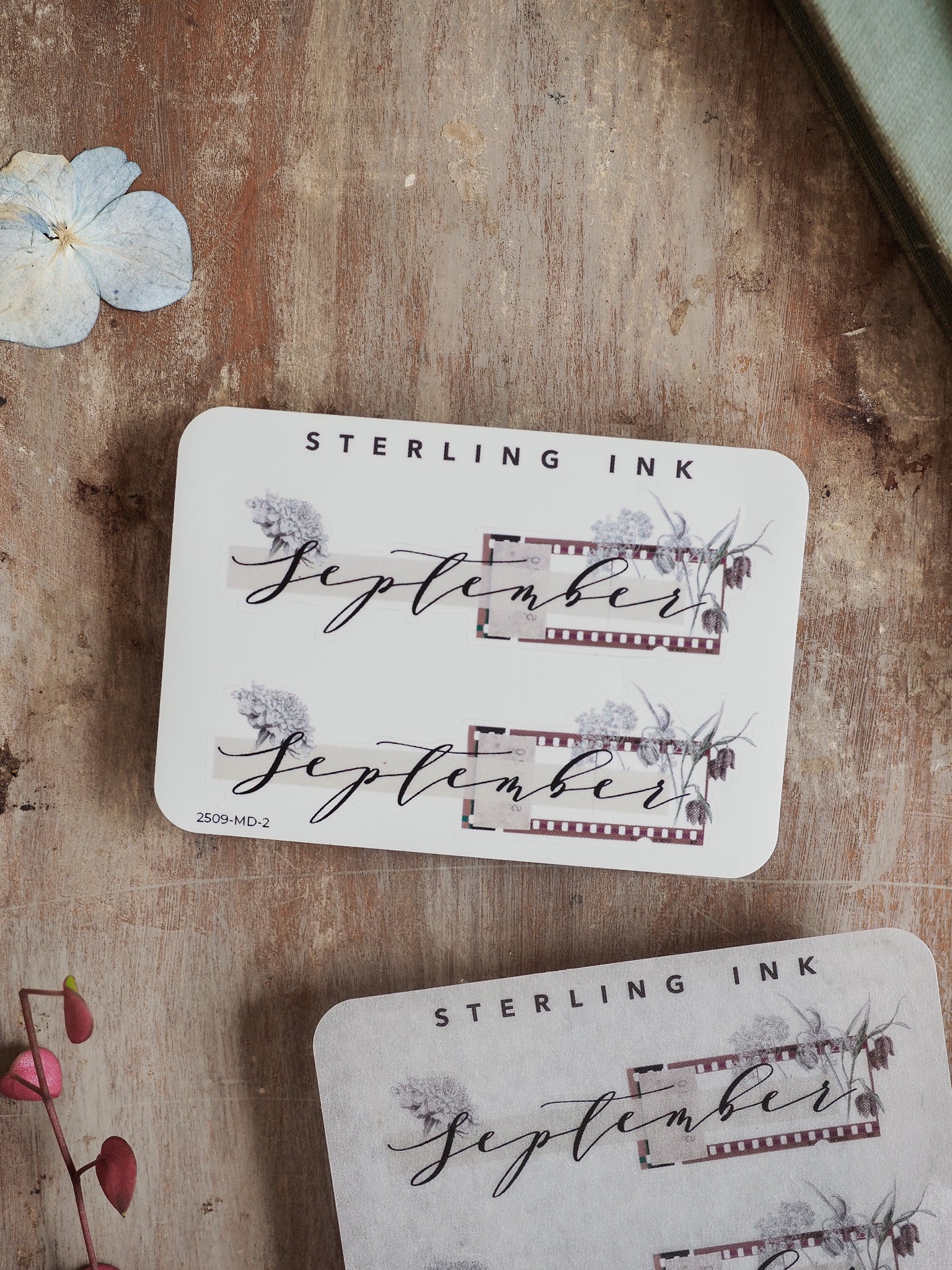 Elegant September month sticker featuring the word in dark cursive calligraphy, accented with watercolor grasses and a rustic red banner.