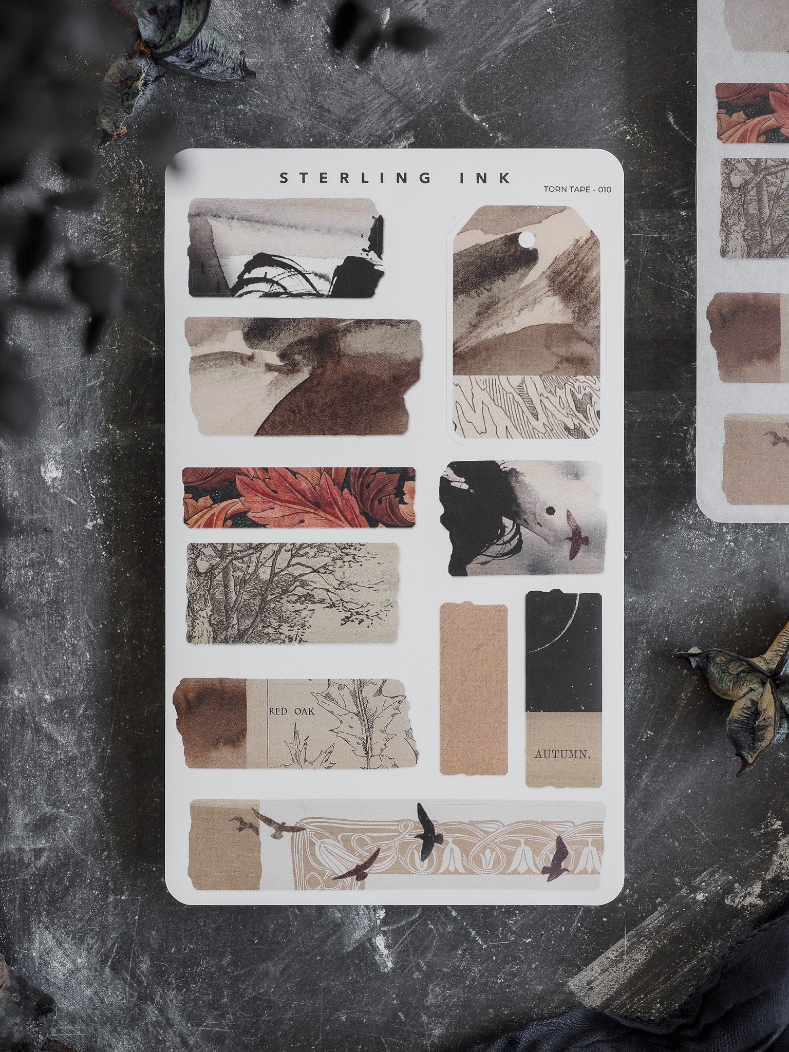 Detailed collection of autumnal torn tape stickers featuring fall foliage, red oak branches, and seasonal nature designs perfect for scrapbooking projects.