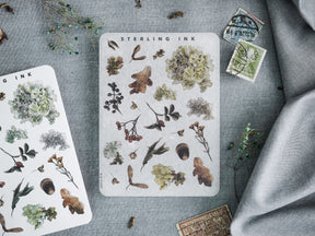 Sticker sheets depicting seasonal autumn elements, including detailed watercolor illustrations of dried leaves, clusters of berries, and earthy floral accents.