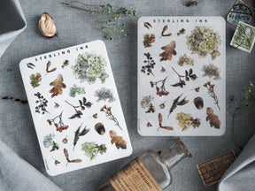 Seasonal botanical elements stickers featuring richly detailed watercolor illustrations of autumn leaves, small berries, and clustered flora.